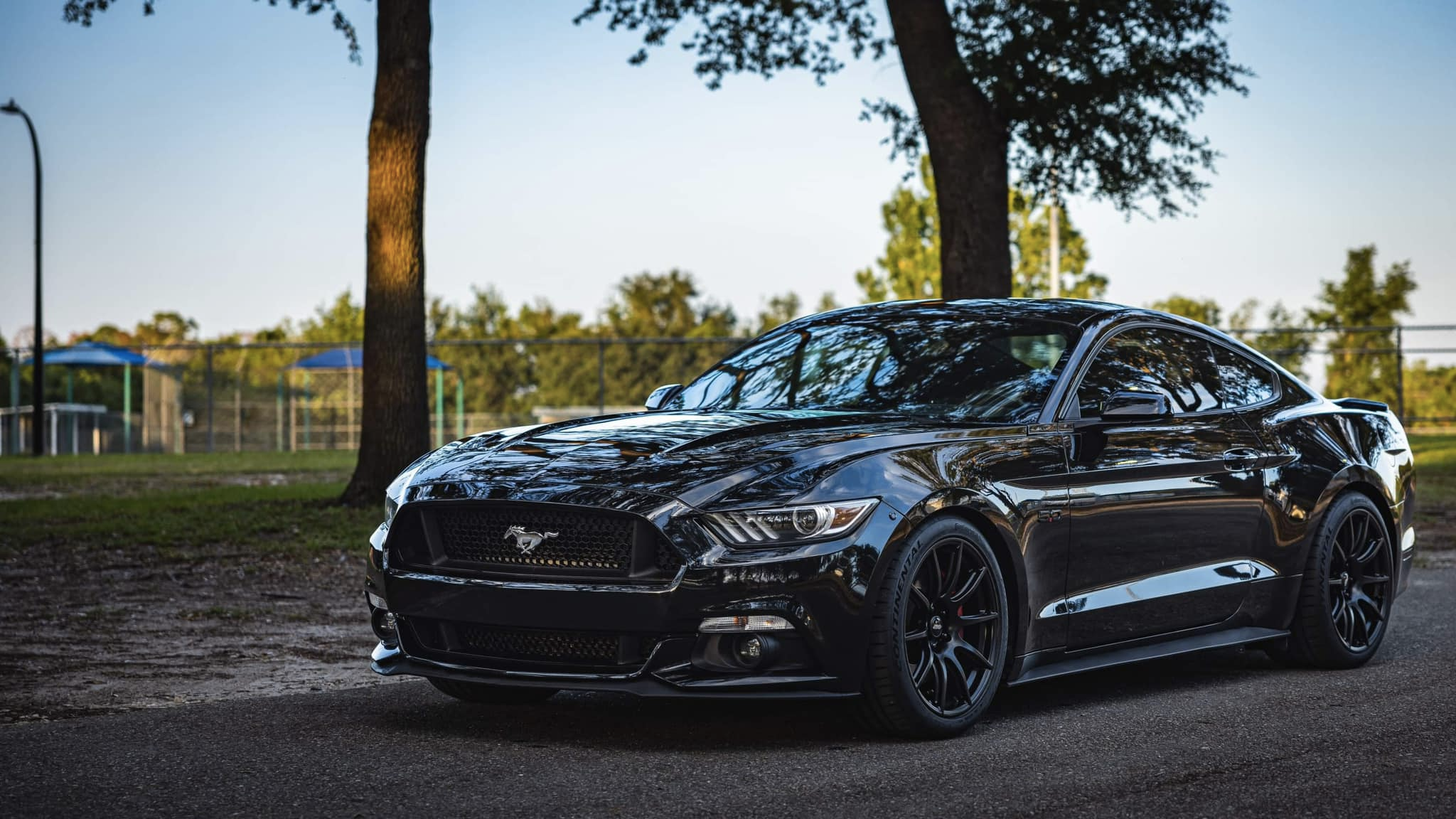 Black Ford S550 Mustang GT with 19" SM-10 Apex wheels in Satin Black