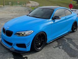 Blue BMW 2 Series - FL-5 in Satin Black