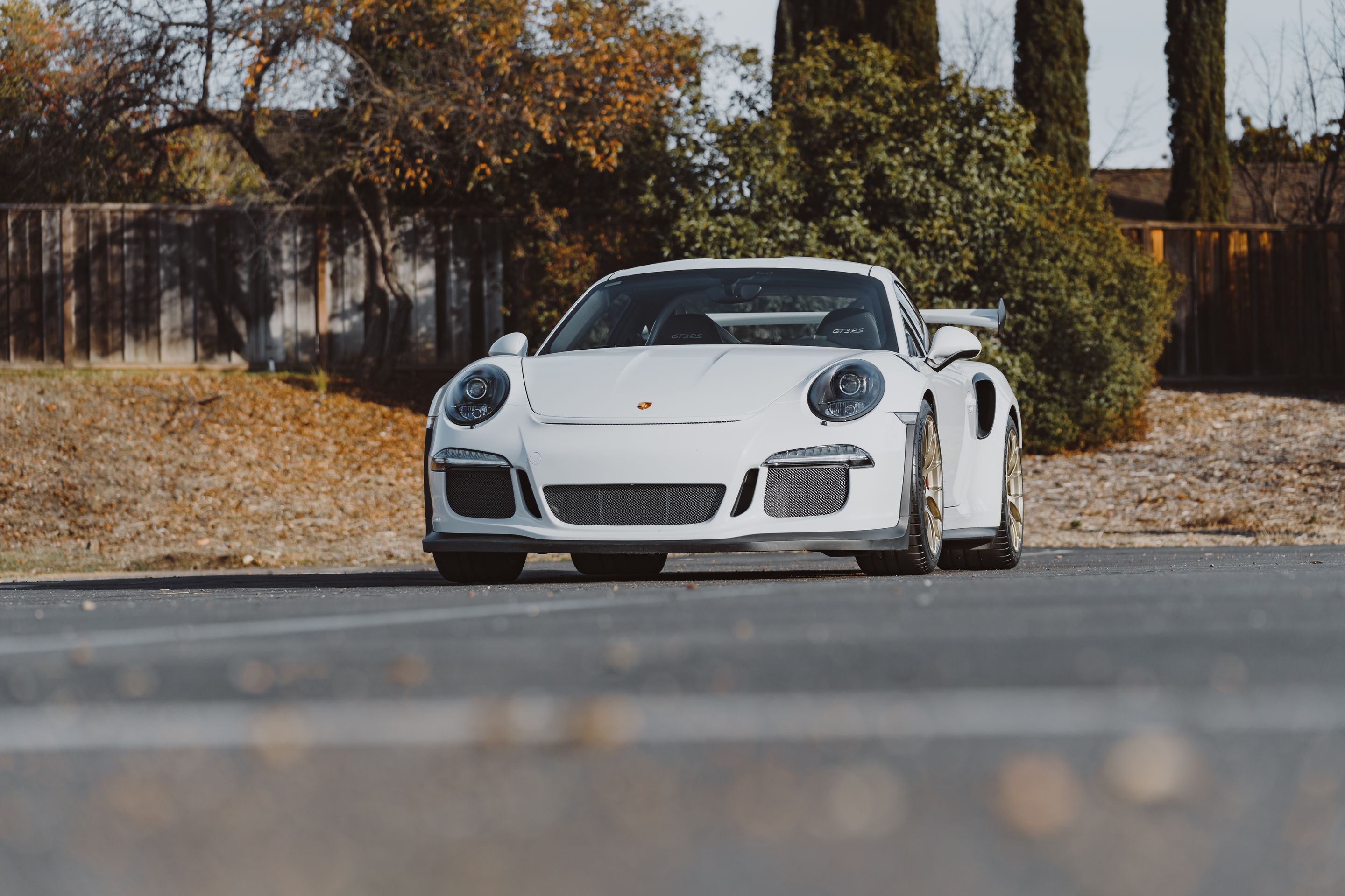 White Porsche 911 991.1 GT3 RS with 19" EC-7RS Apex wheels in Motorsport Gold