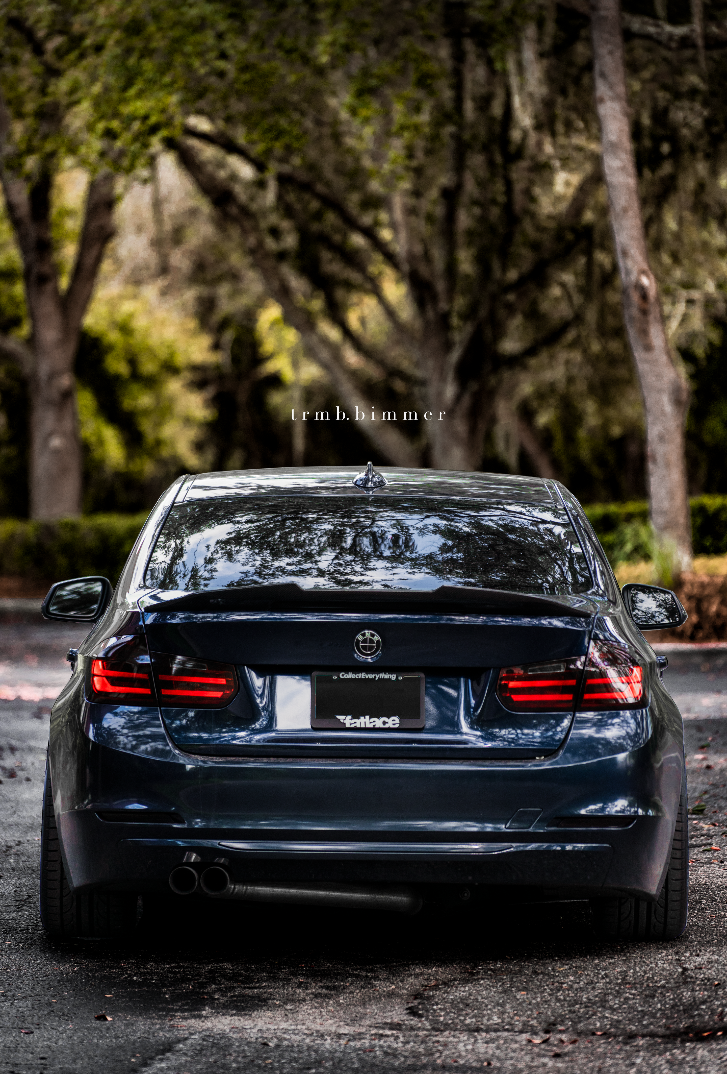 Black BMW F30 Sedan 3 Series with 18" FL-5 Apex wheels in Anthracite
