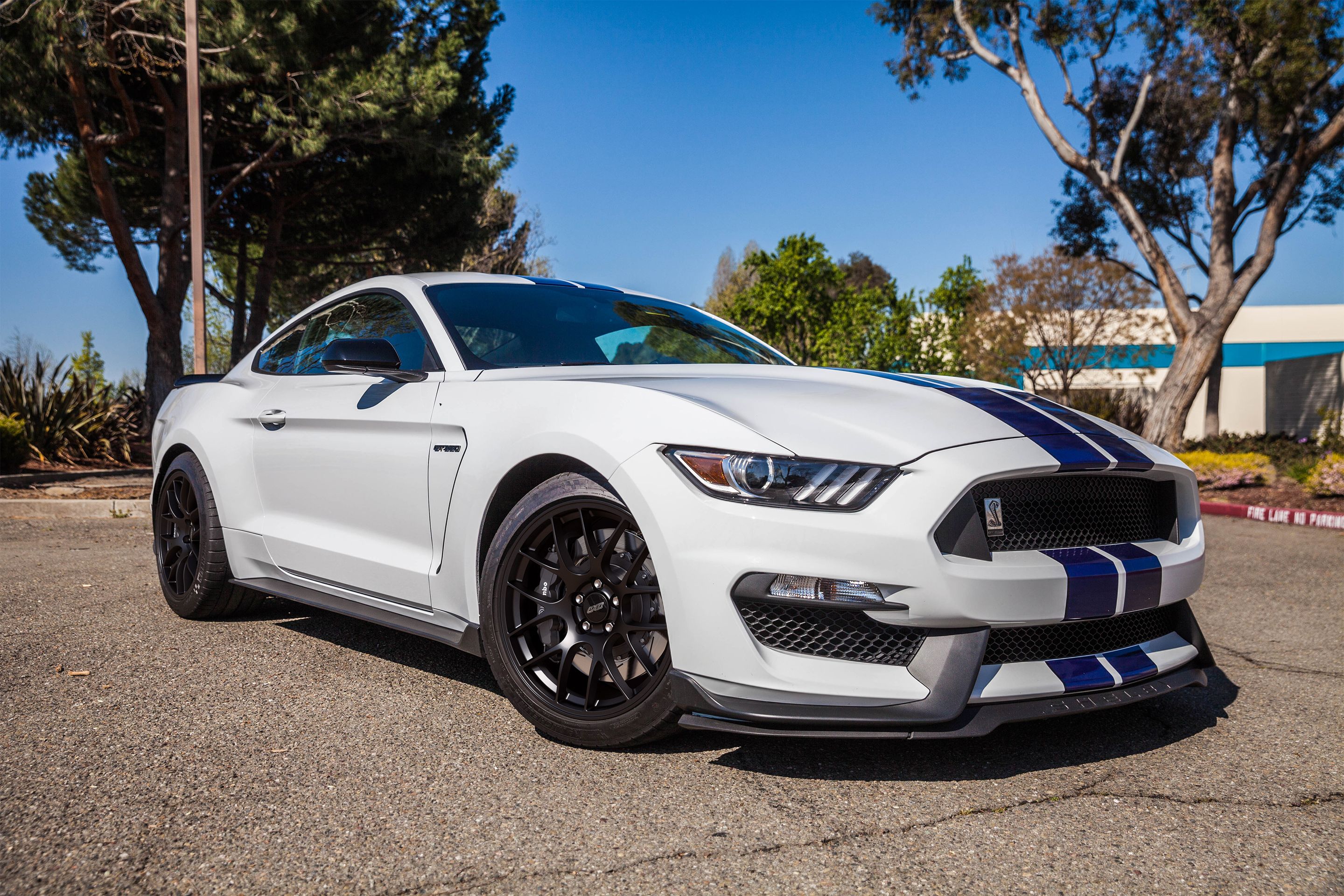 White Ford S550 Mustang GT350 with 19" EC-7 Apex wheels in Satin Black