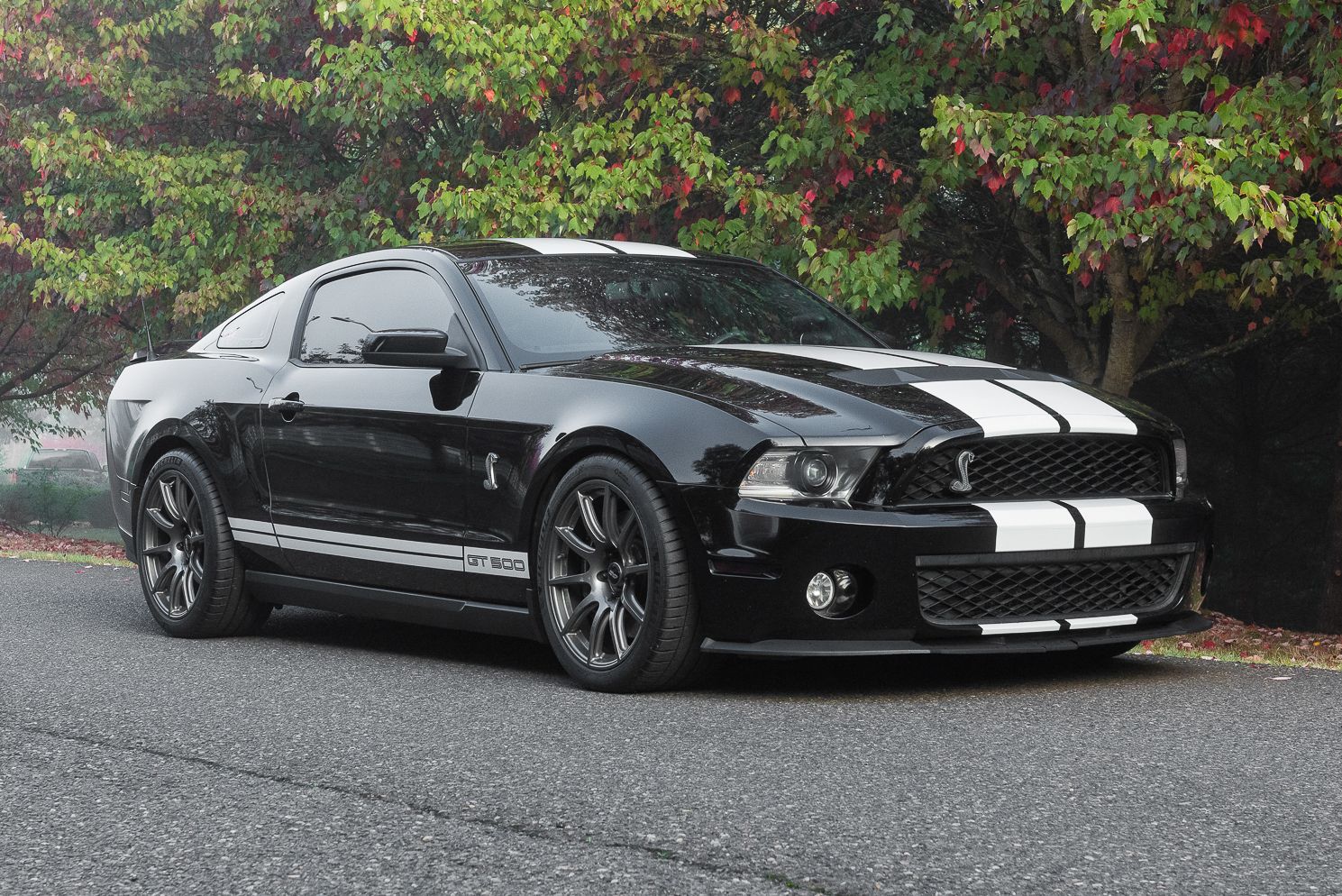 Black Ford S197 Mustang GT500 with 19" SM-10 Apex wheels in Anthracite