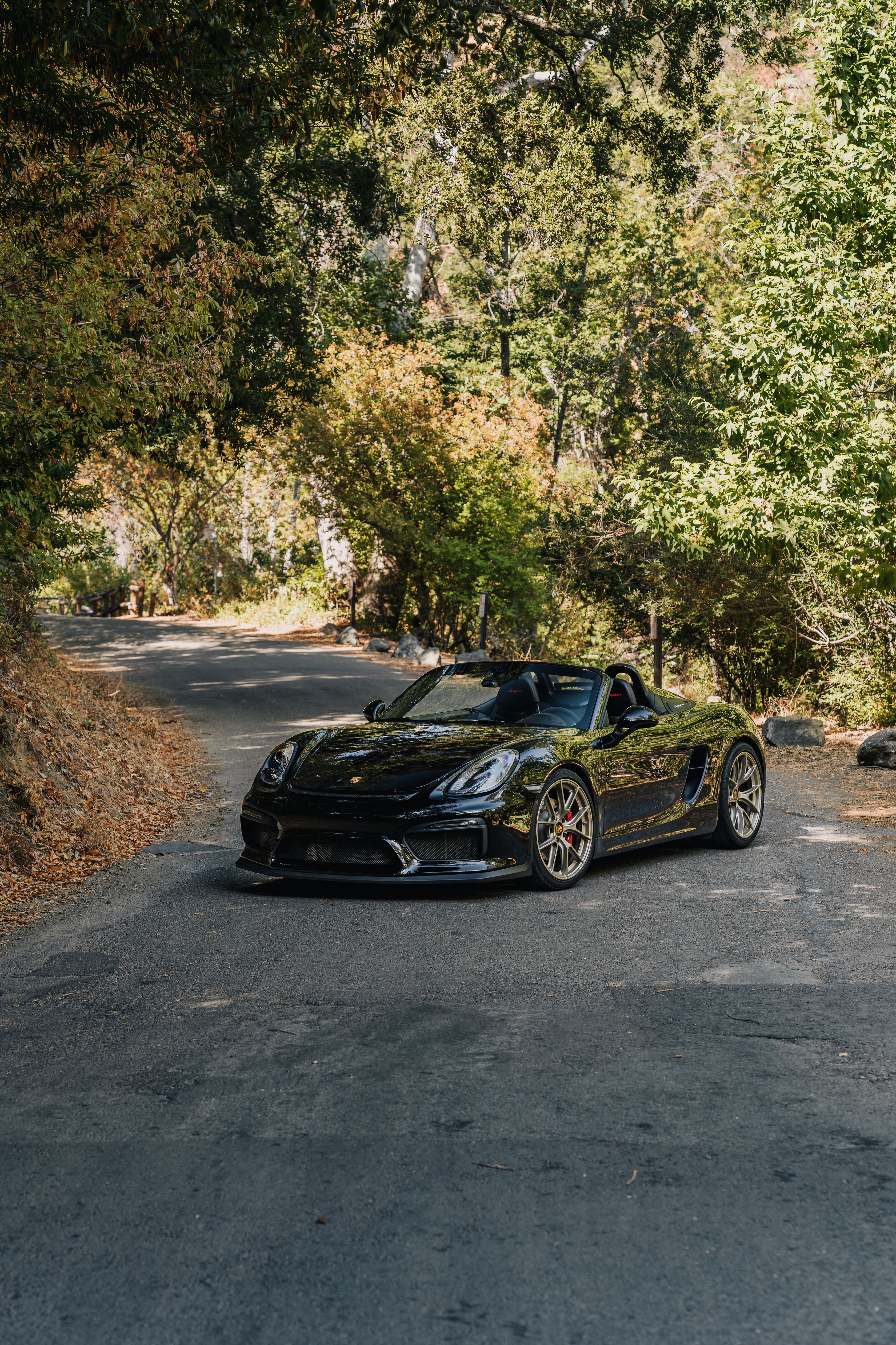 Black Porsche 981 Spyder with 20" VS-5RS Apex wheels in Motorsport Gold