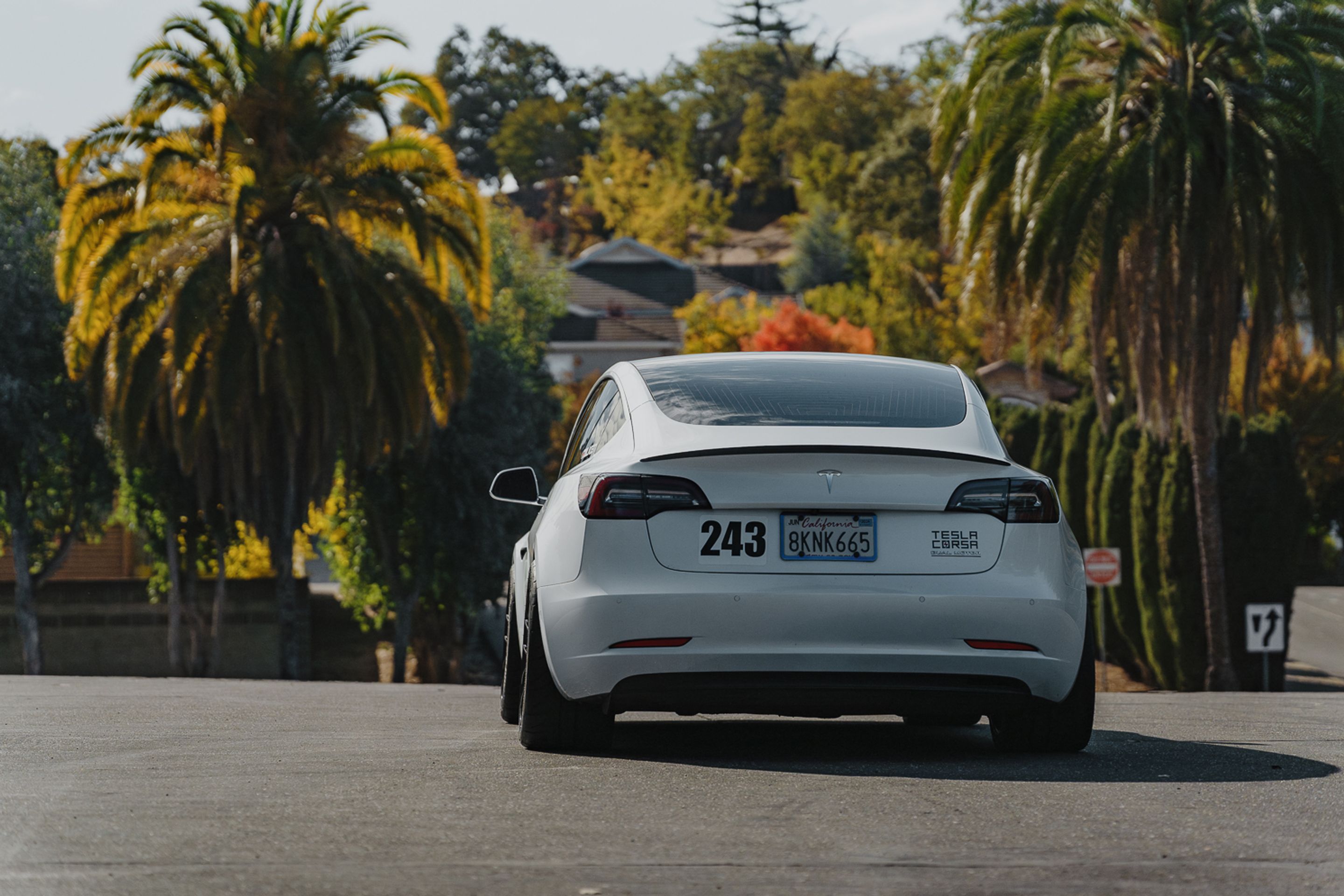 White Tesla Model 3 with 19" EC-7RS Apex wheels in Satin Black