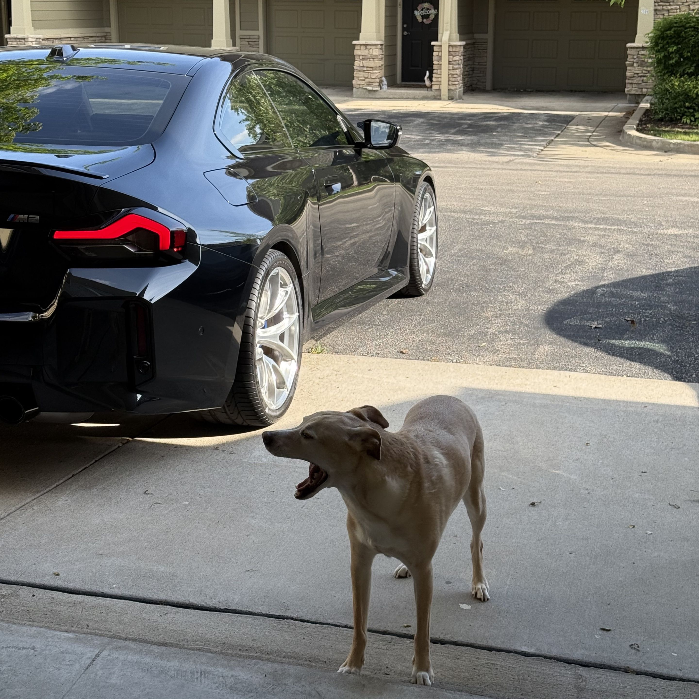 Black BMW G87 M2 with 19" VS-5RS Apex wheels in Brushed Clear