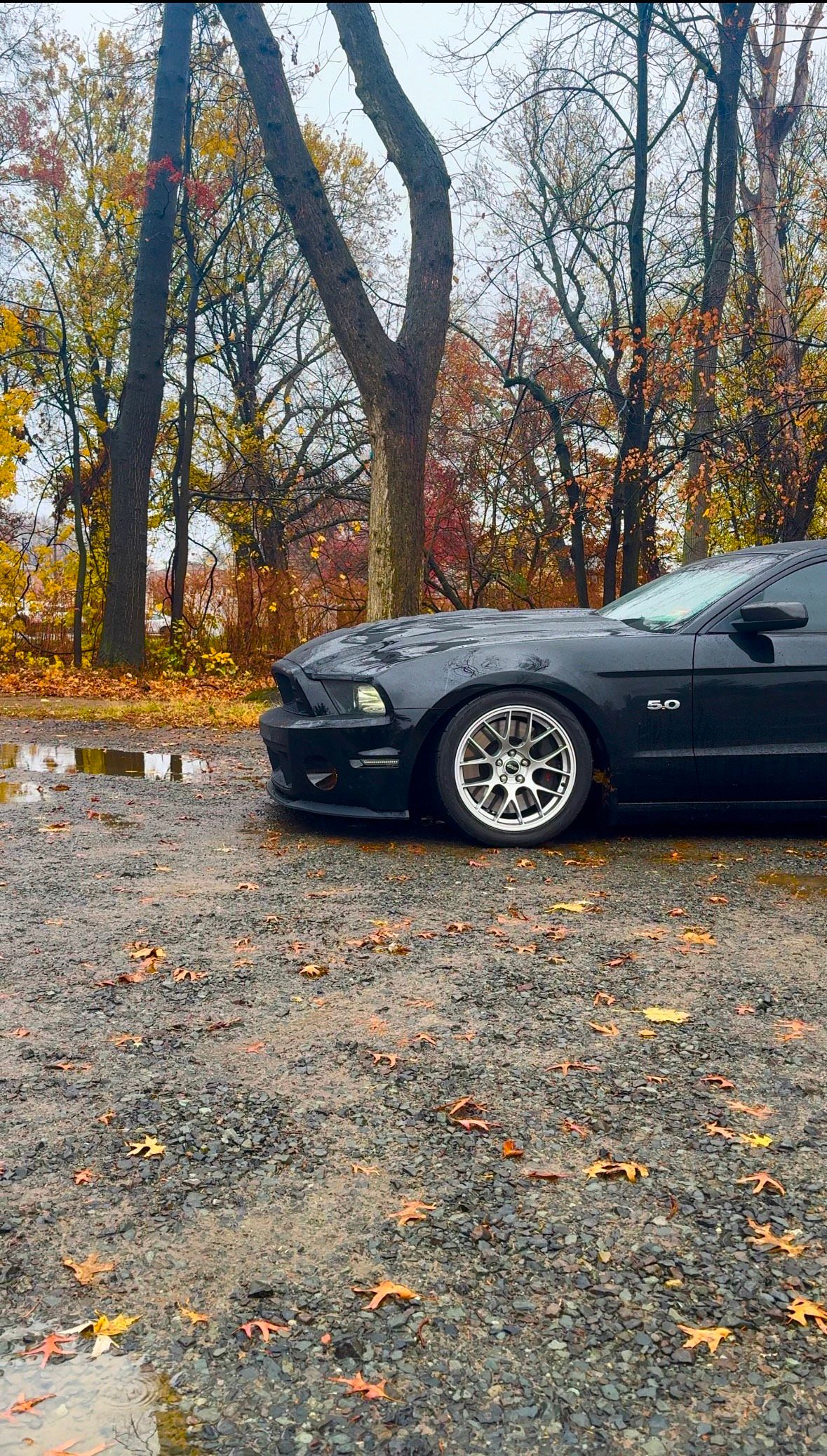 Black Ford S197 Mustang GT with 18" EC-7 Apex wheels in Race Silver