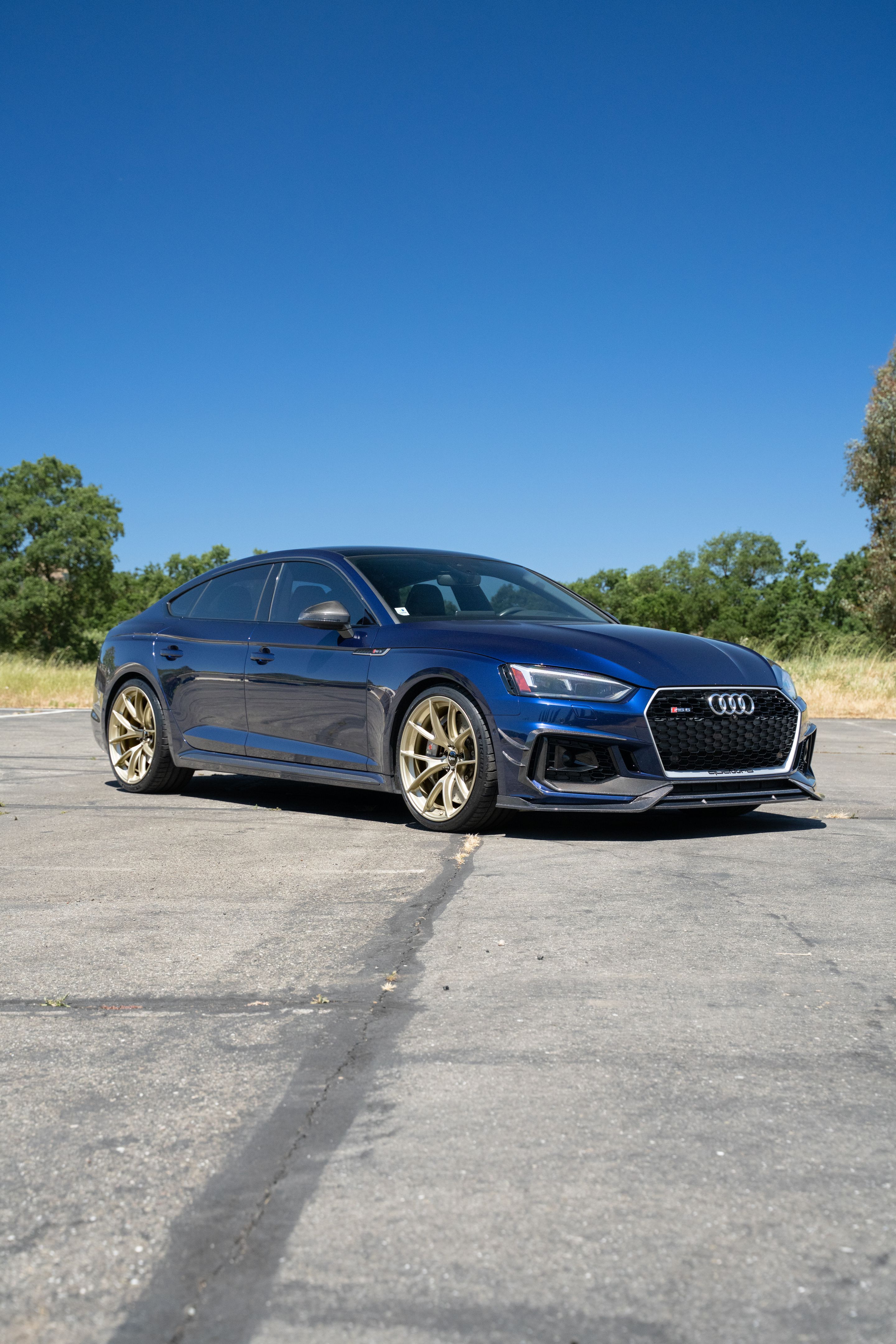 Blue Audi B9 RS 5 Sportback with 20" VS-5RS Apex wheels in Motorsport Gold