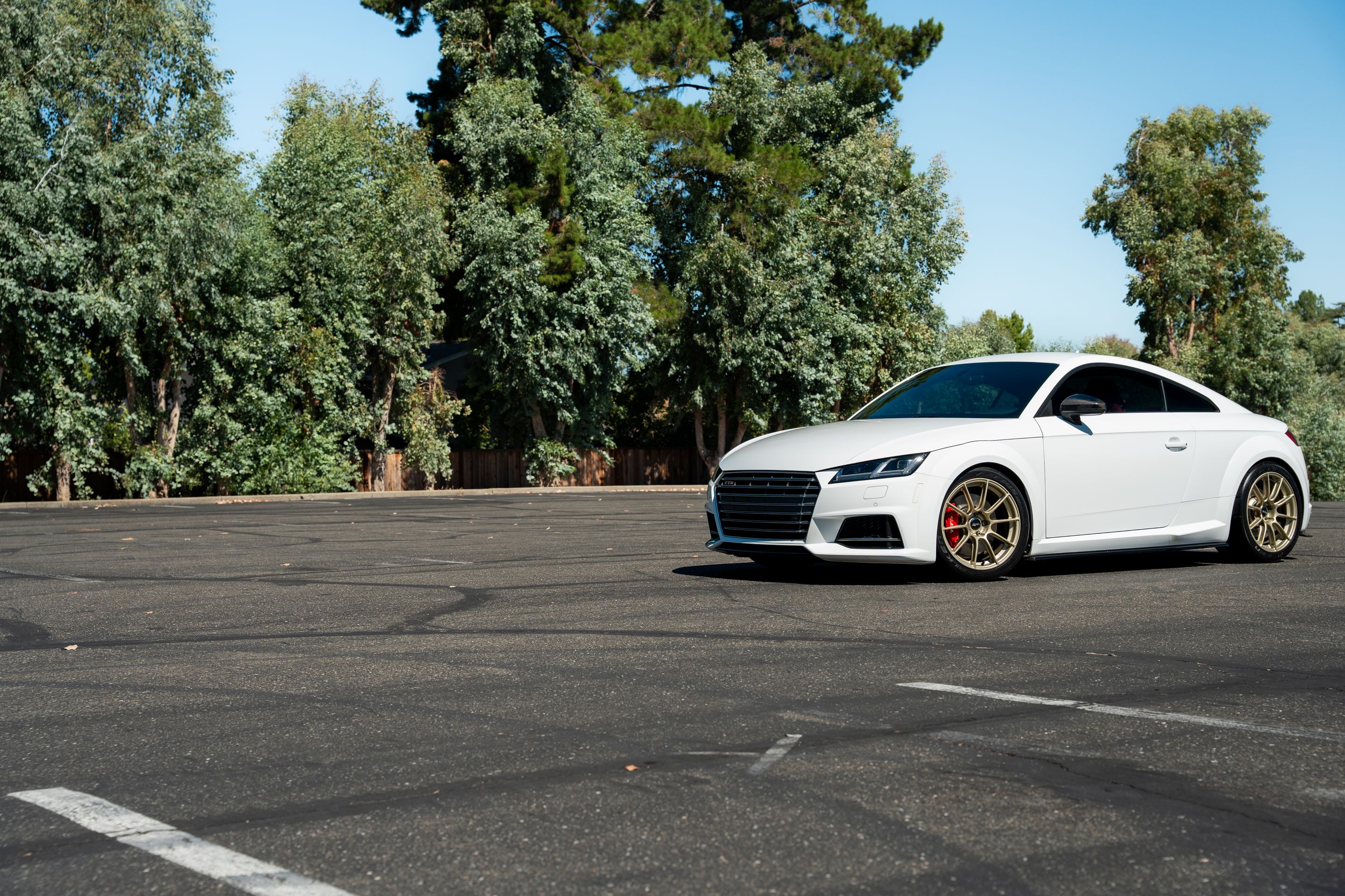 White Audi 8S TTS with 18" SM-10RS Apex wheels in Motorsport Gold