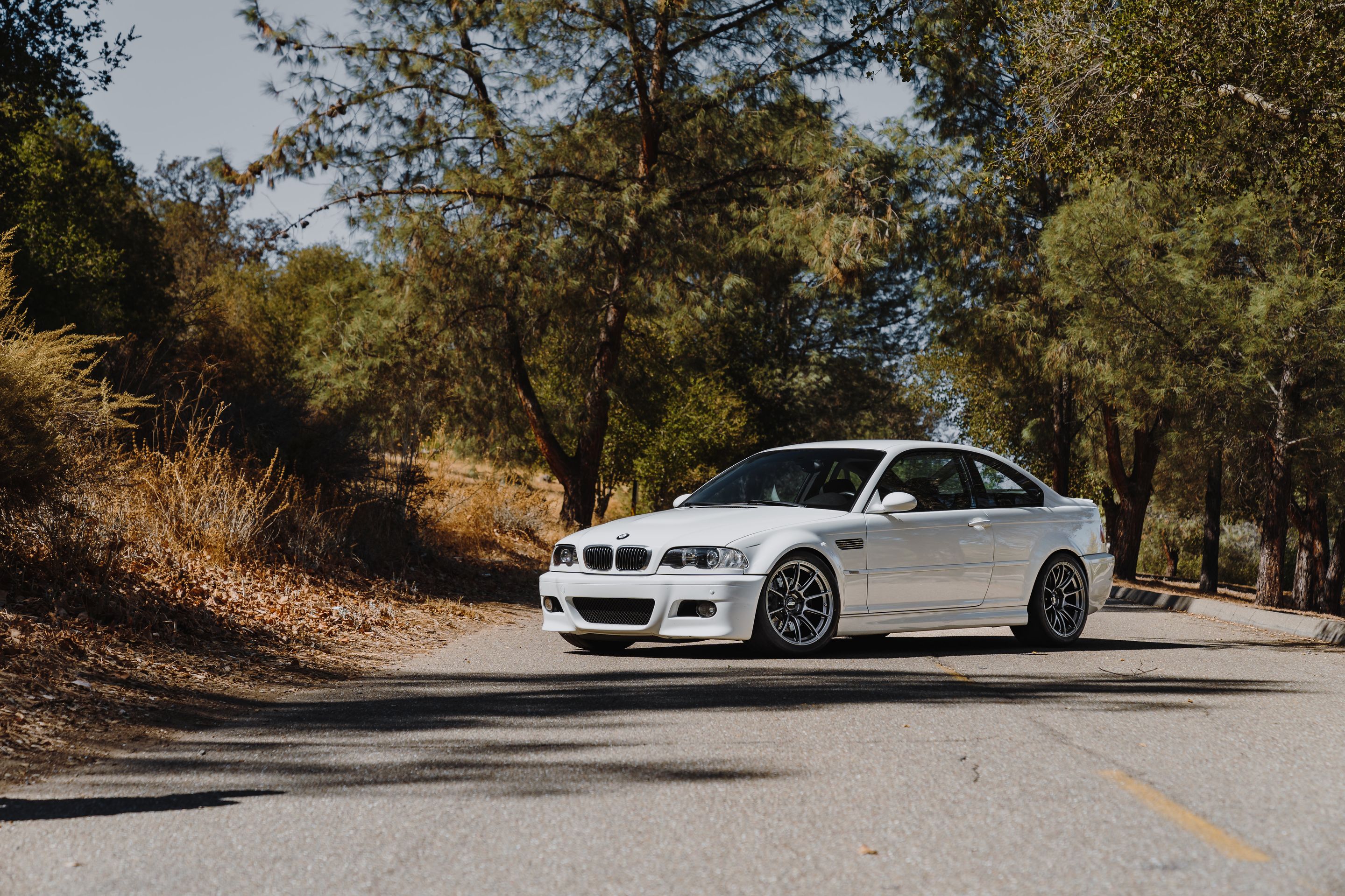 White BMW E46 M3 with 18" SM-10RS Apex wheels in Anthracite