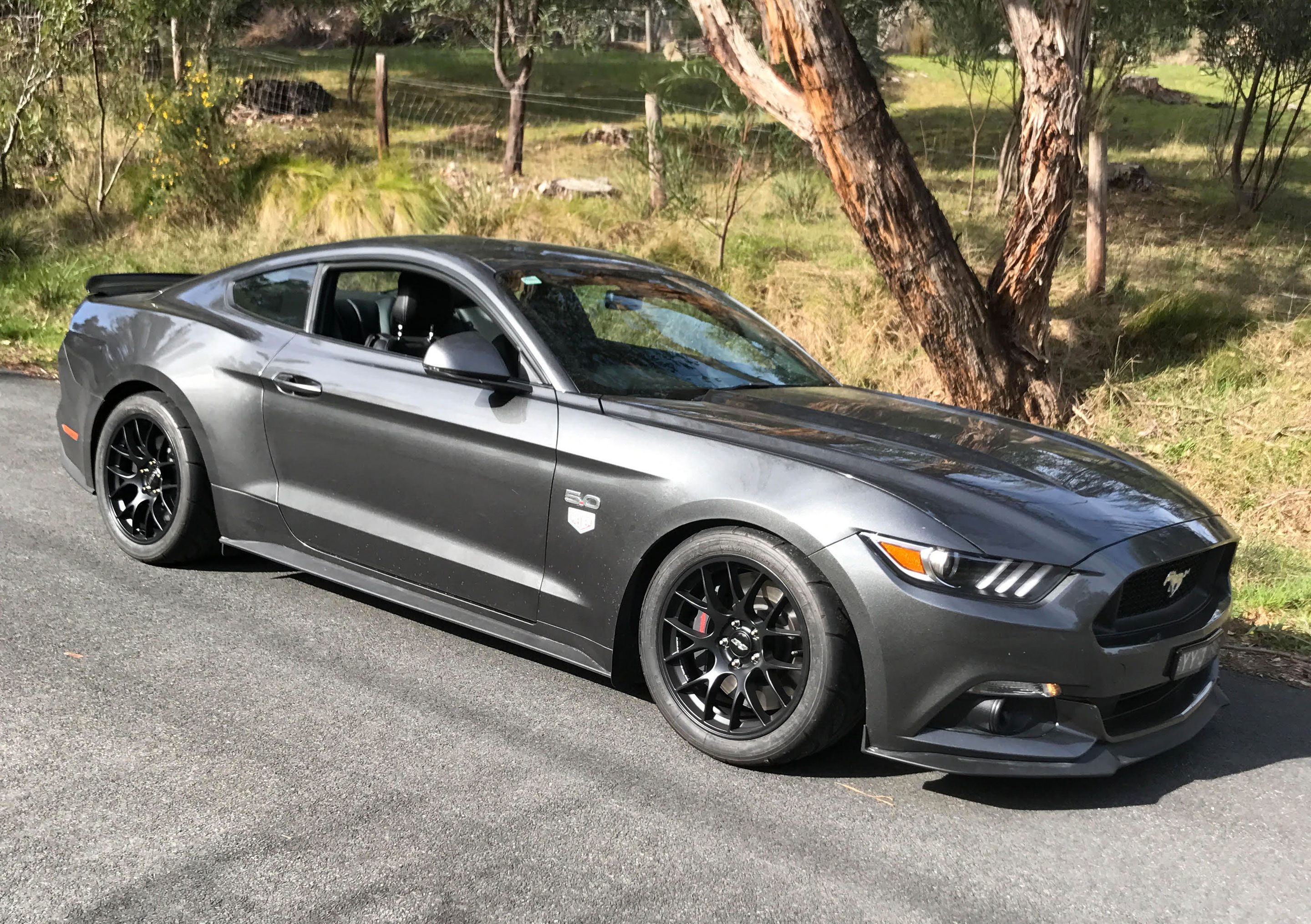 Grey Ford S550 Mustang GT with 18" EC-7 Apex wheels in Satin Black