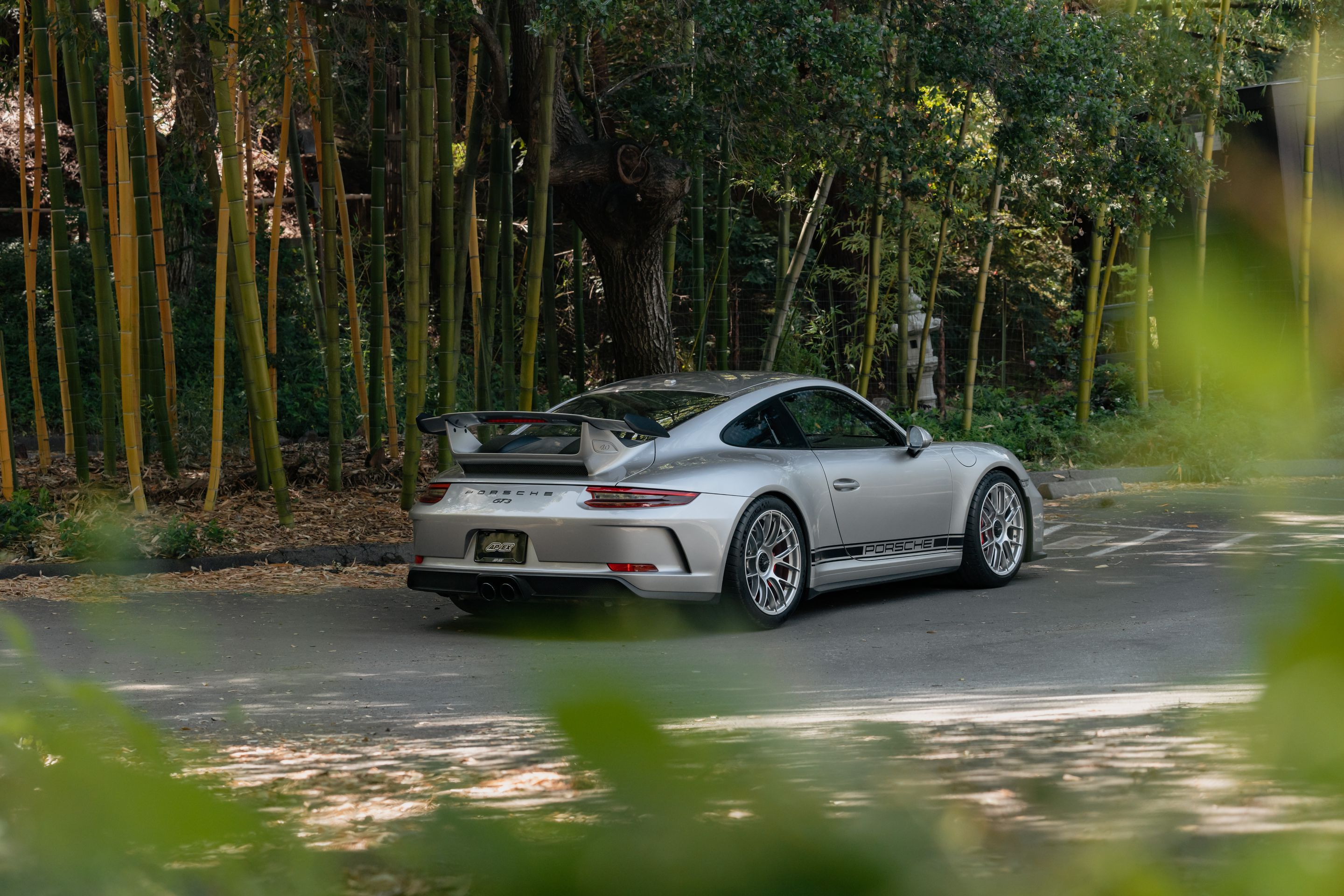 Silver Porsche 911 991.2 GT3 with 19" EC-7RS Apex wheels in Race Silver