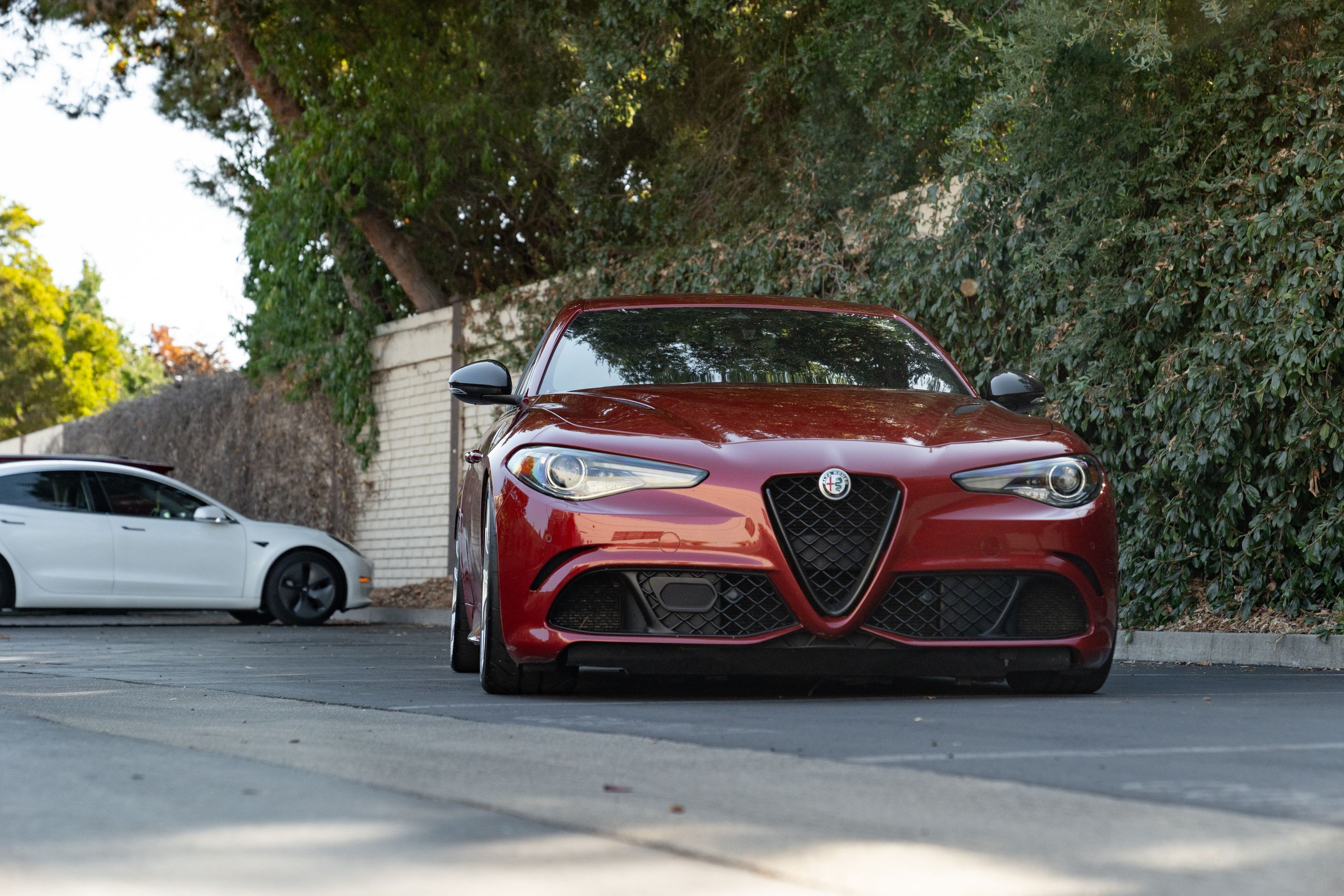 Red Alfa Romeo Giulia Quadrifoglio with 19" VS-5RS Apex wheels in Brushed Clear