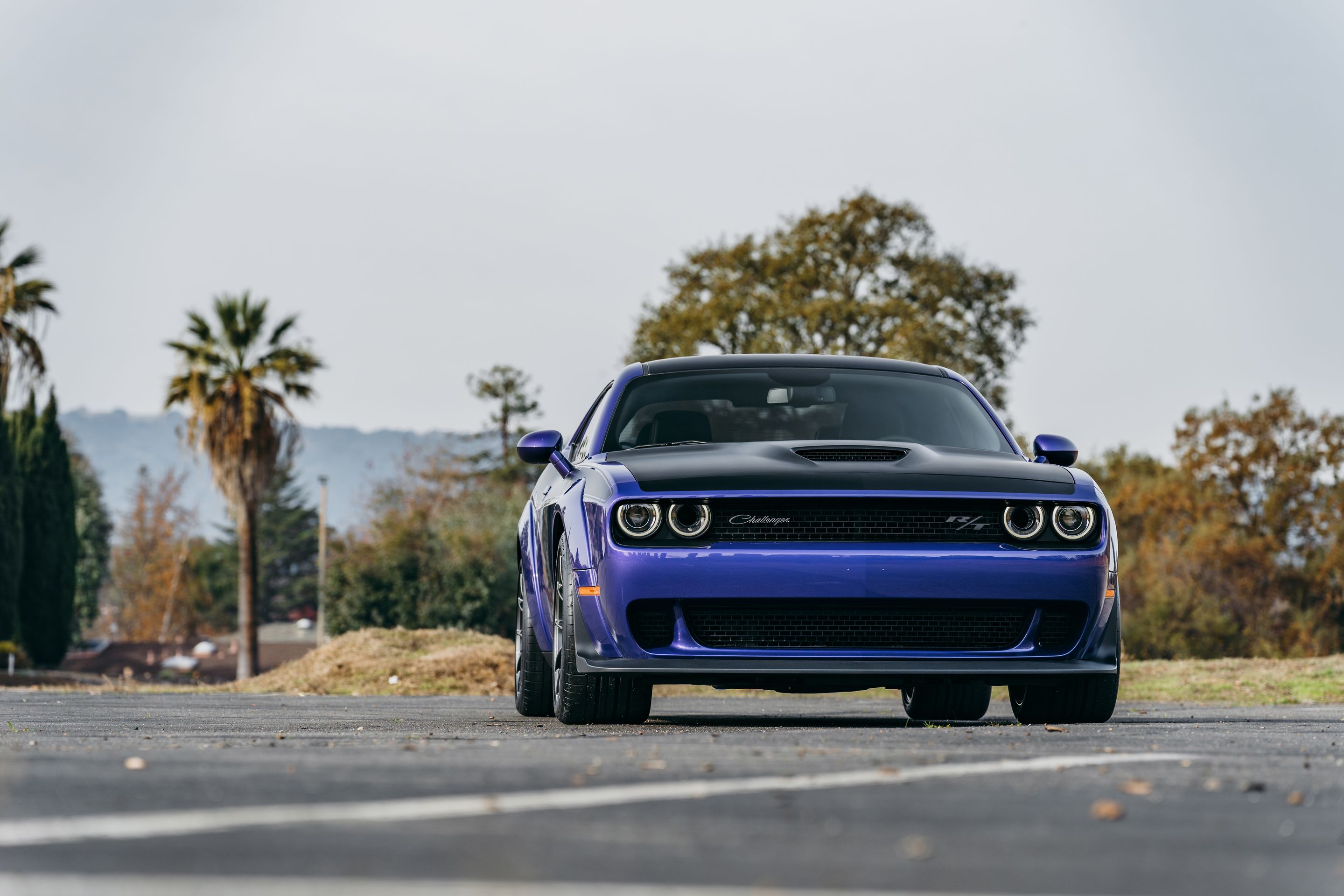 Purple Dodge Challenger R/T Scat Pack Widebody with 20" VS-5RS Apex wheels in Anthracite
