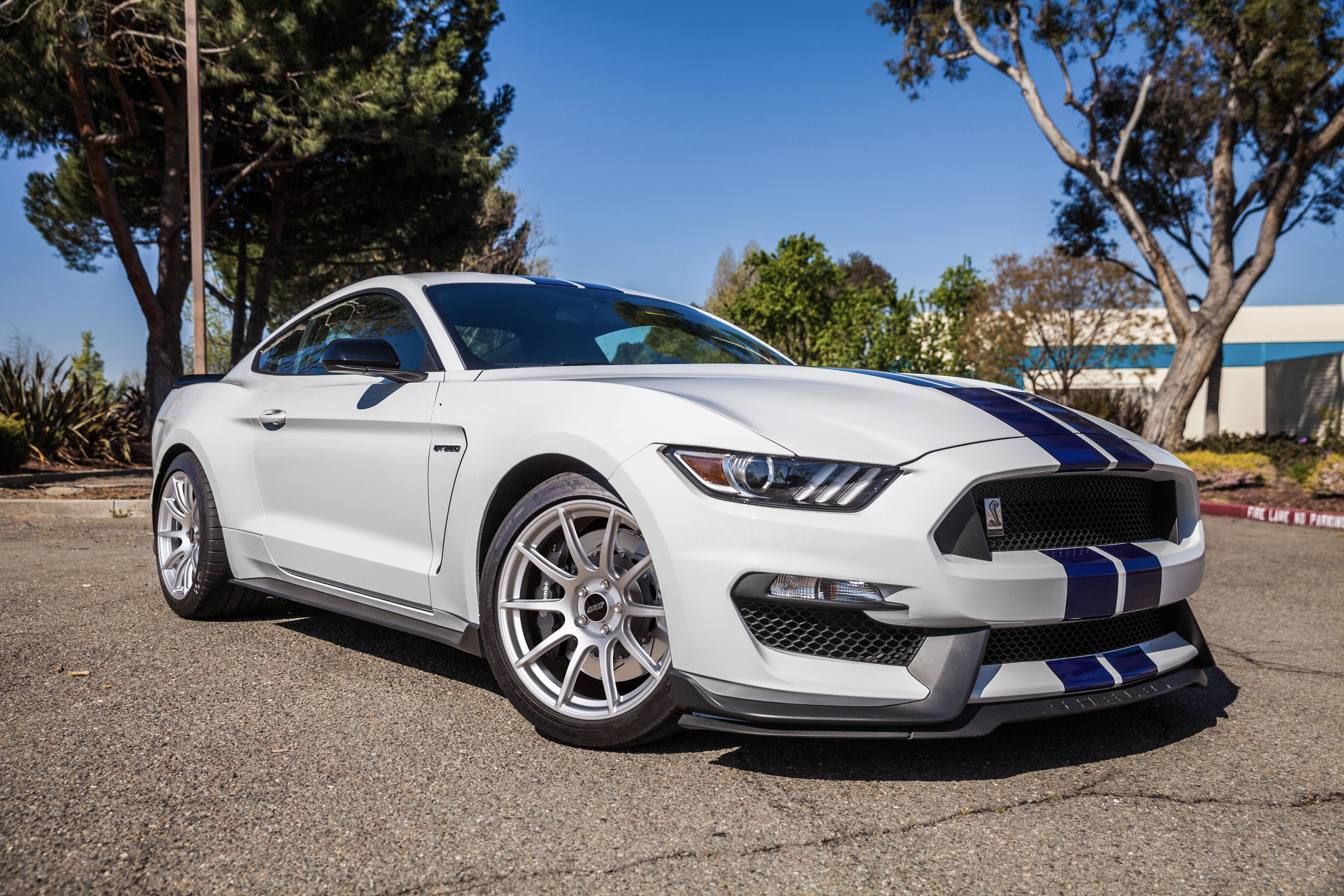 White Ford S550 Mustang GT350 with 19" SM-10 Apex wheels in Race Silver