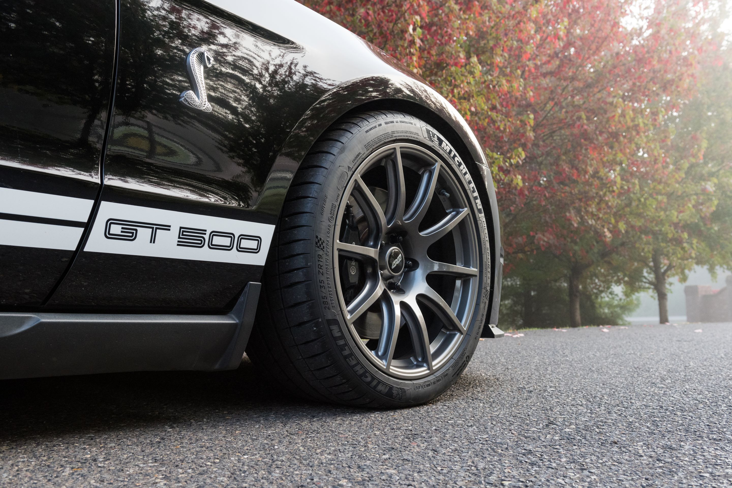 Black Ford S197 Mustang GT500 with 19" SM-10 Apex wheels in Anthracite