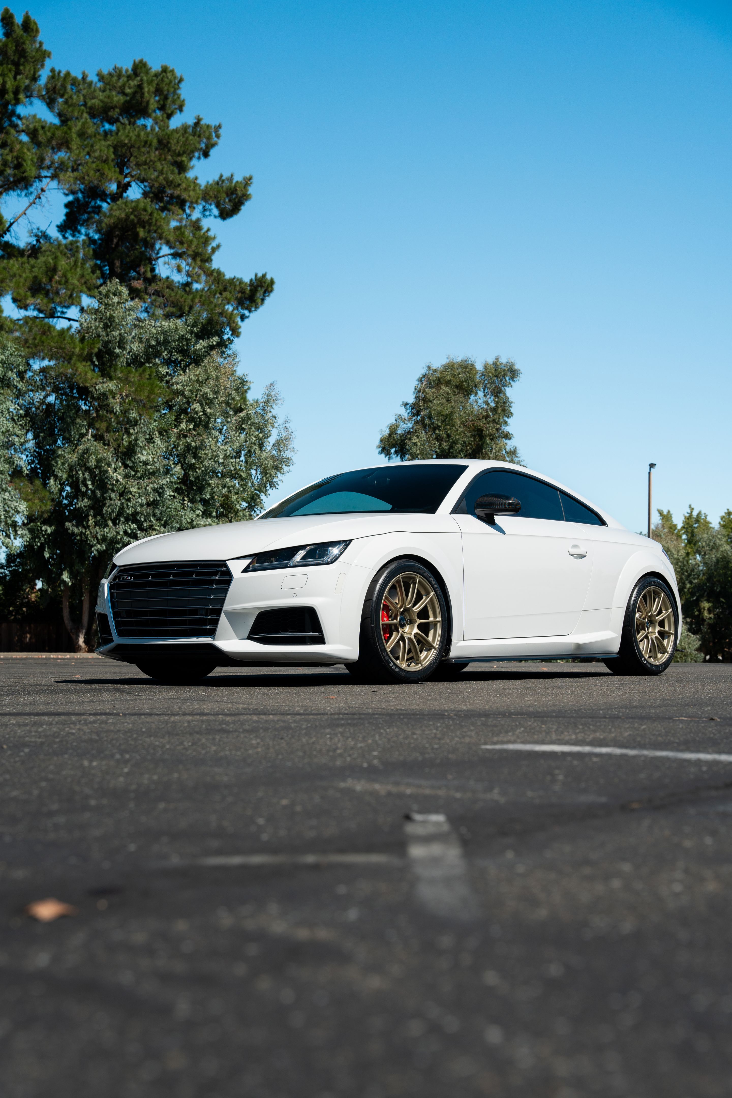 White Audi 8S TTS with 18" SM-10RS Apex wheels in Motorsport Gold