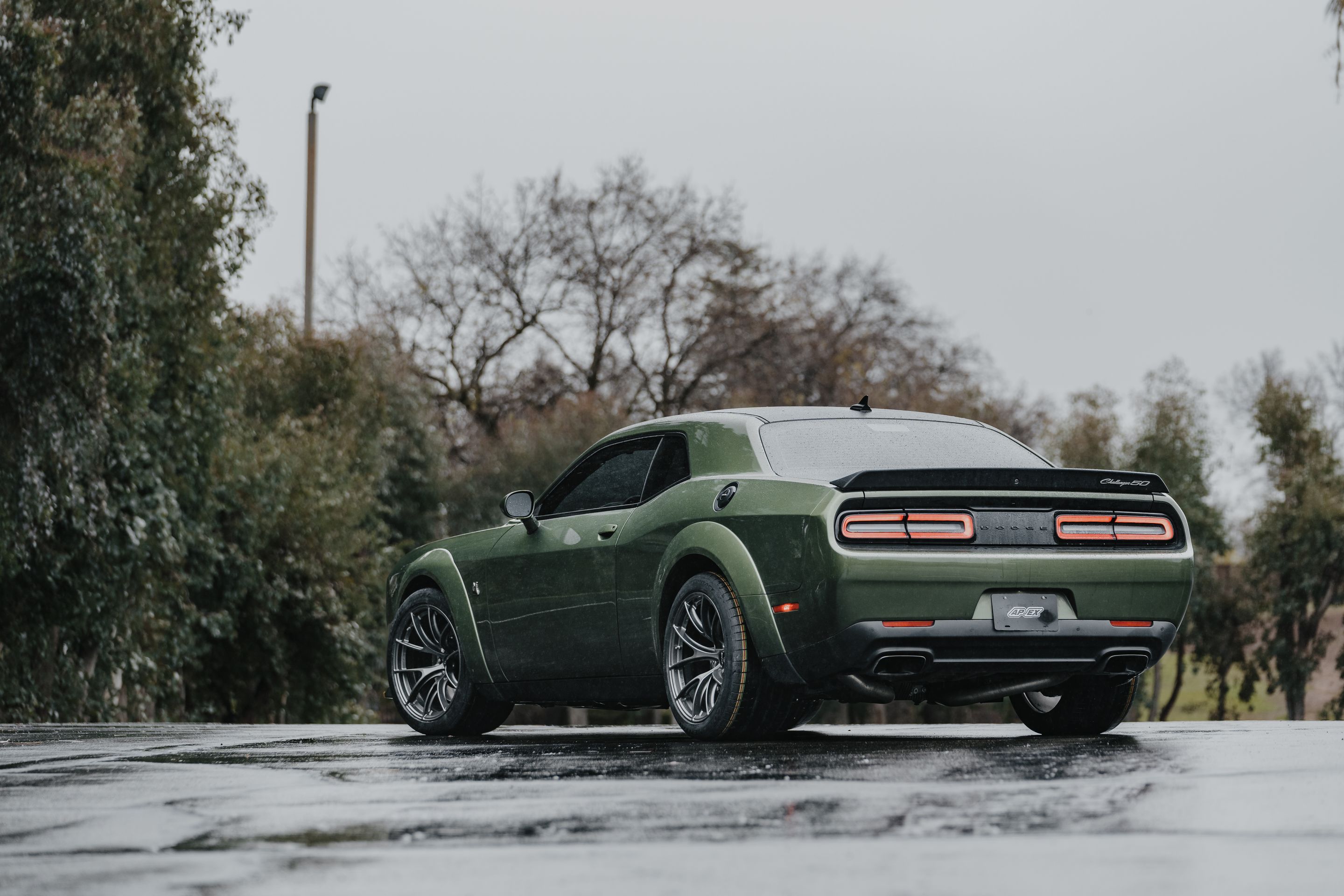 Green Dodge Challenger R/T Scat Pack Widebody with 20" VS-5RS Apex wheels in Anthracite