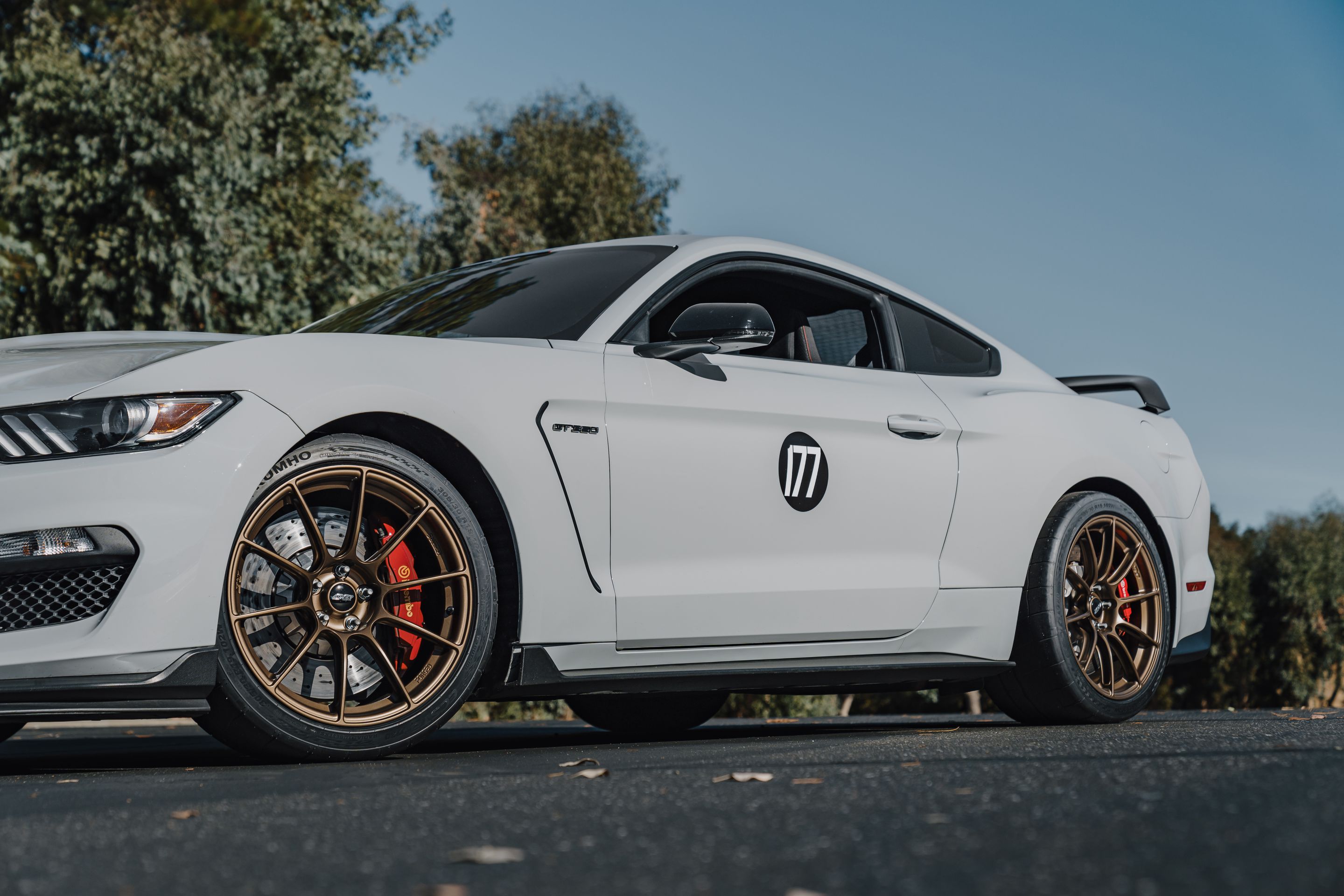 Grey Ford S550 Mustang GT350R with 19" SM-10RS Apex wheels in Satin Bronze