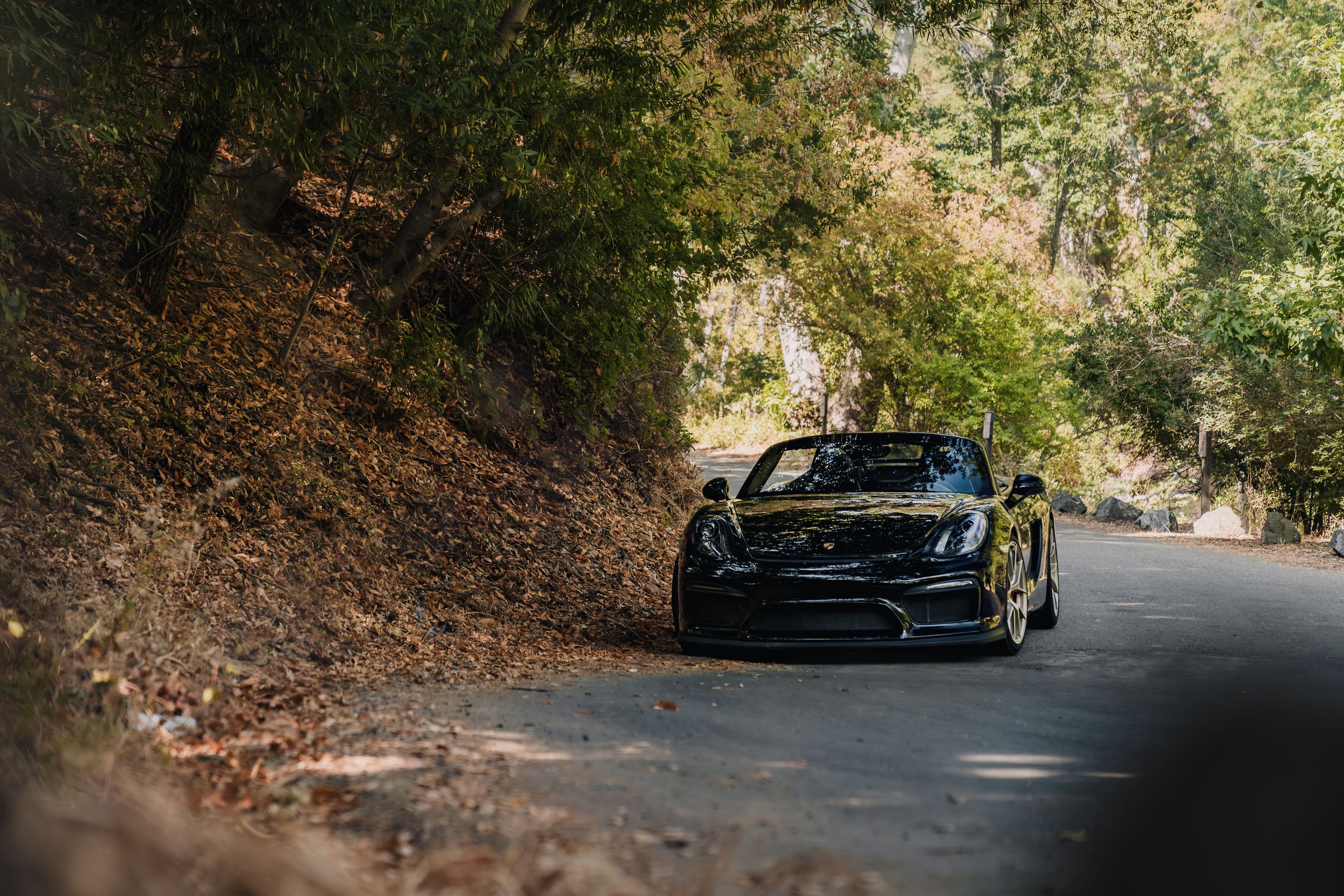 Black Porsche 981 Spyder with 20" VS-5RS Apex wheels in Motorsport Gold