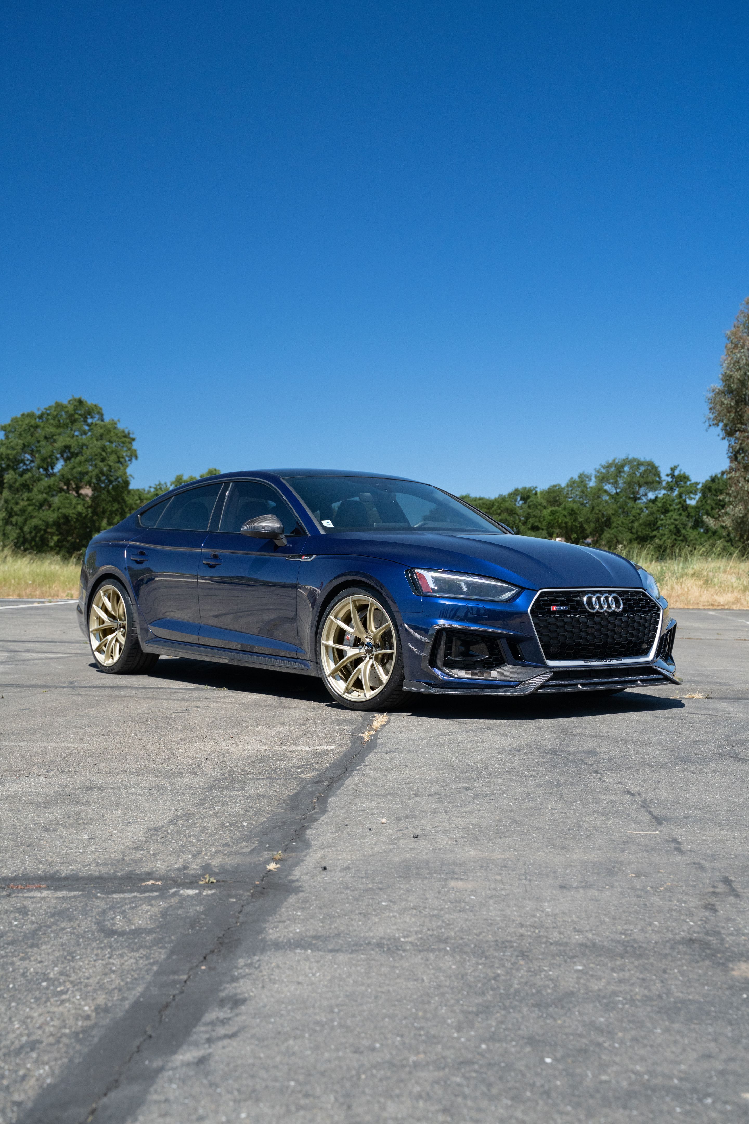 Blue Audi B9 RS 5 Sportback with 20" VS-5RS Apex wheels in Motorsport Gold
