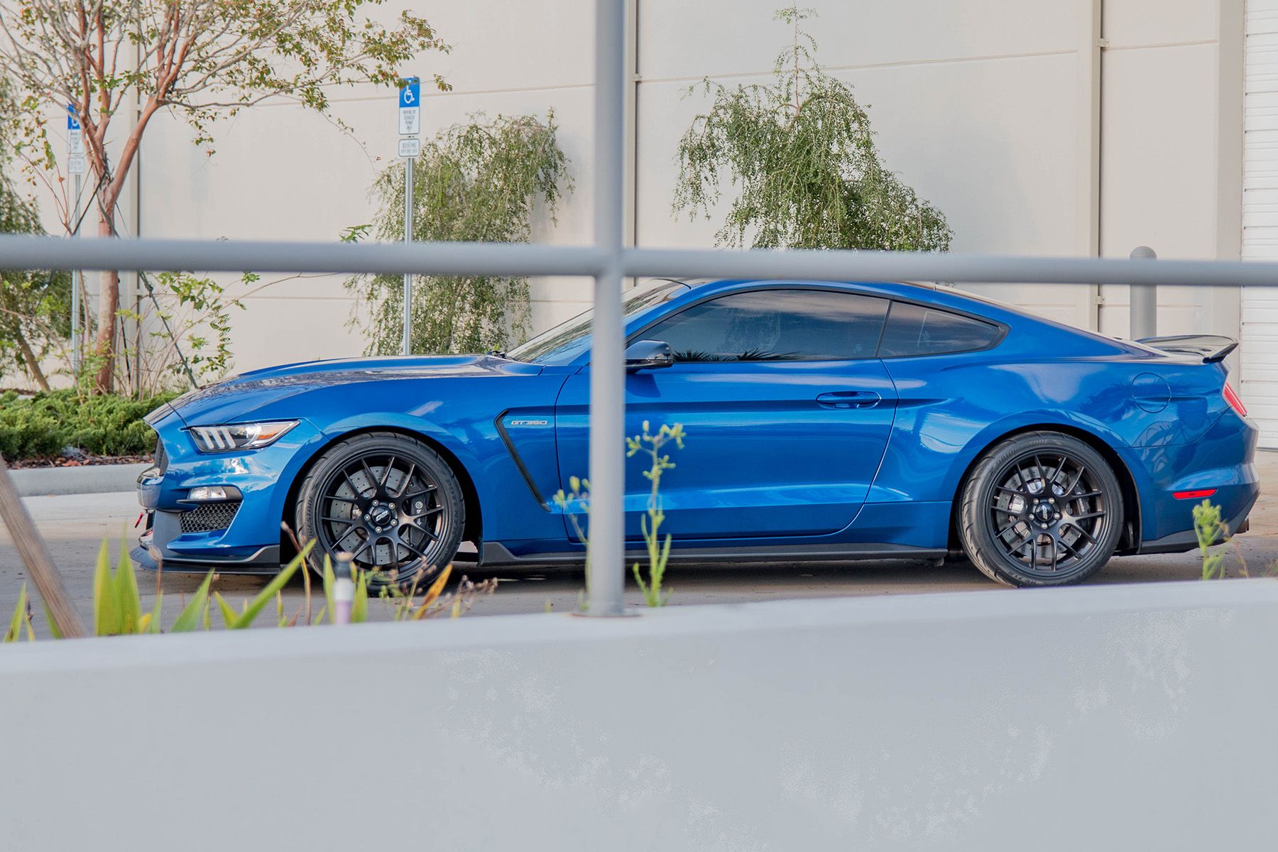 Blue Ford S550 Mustang GT350 with 19" EC-7 Apex wheels in Satin Black