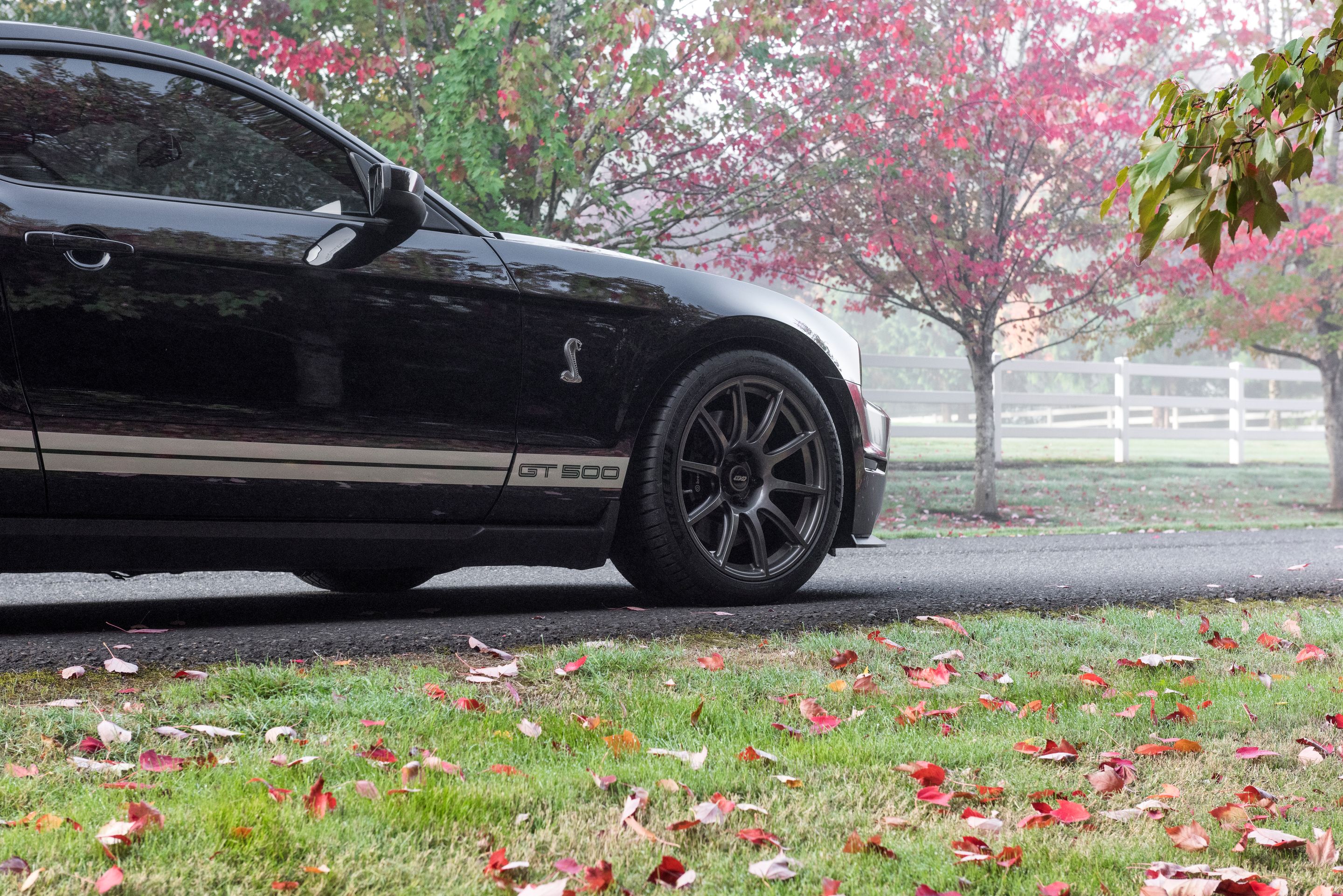 Black Ford S197 Mustang GT500 with 19" SM-10 Apex wheels in Anthracite