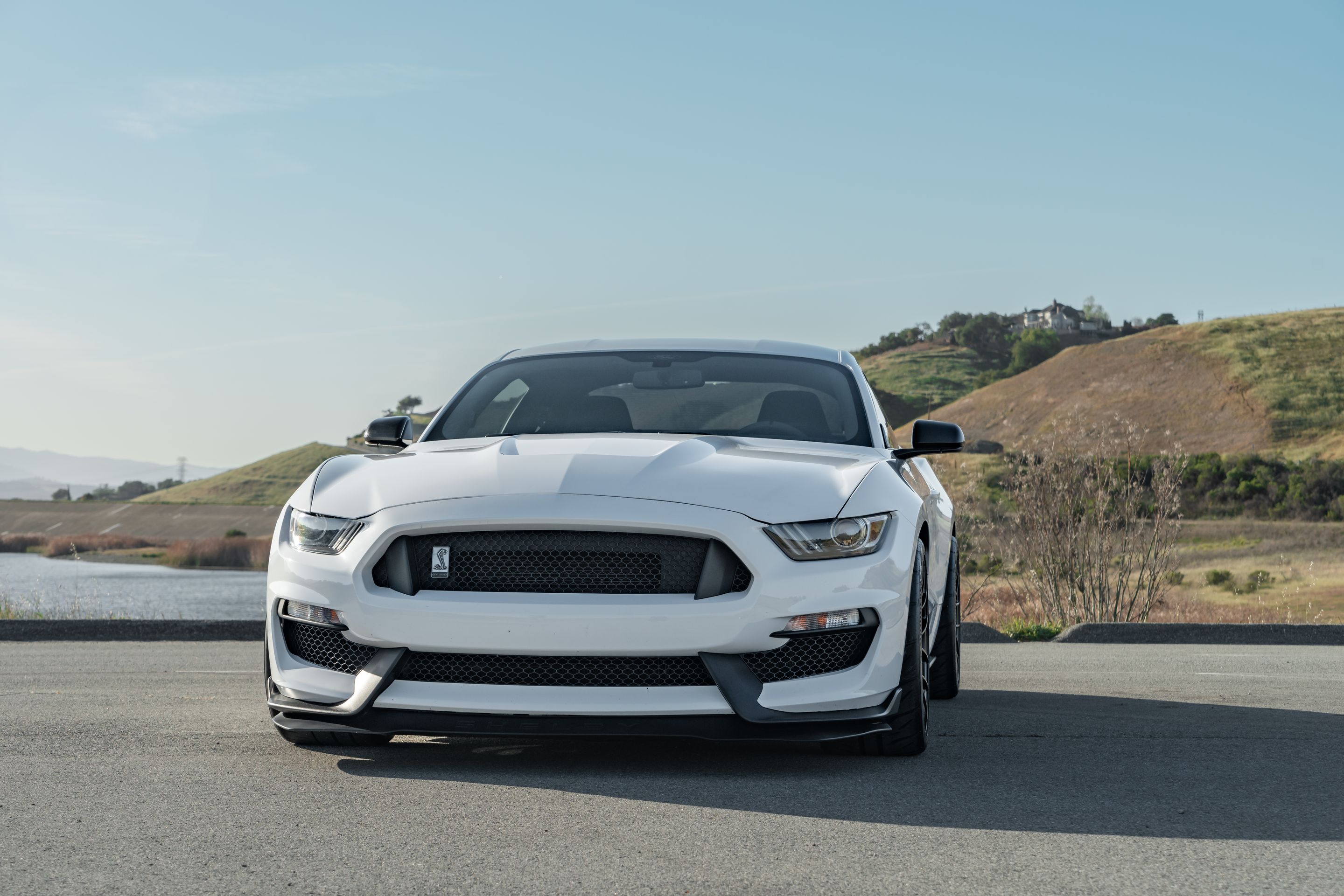 White Ford S550 Mustang GT350 with 19" EC-7RS Apex wheels in Satin Black
