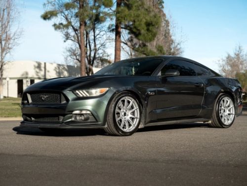 Green Ford Mustang - SM-10 in Race Silver