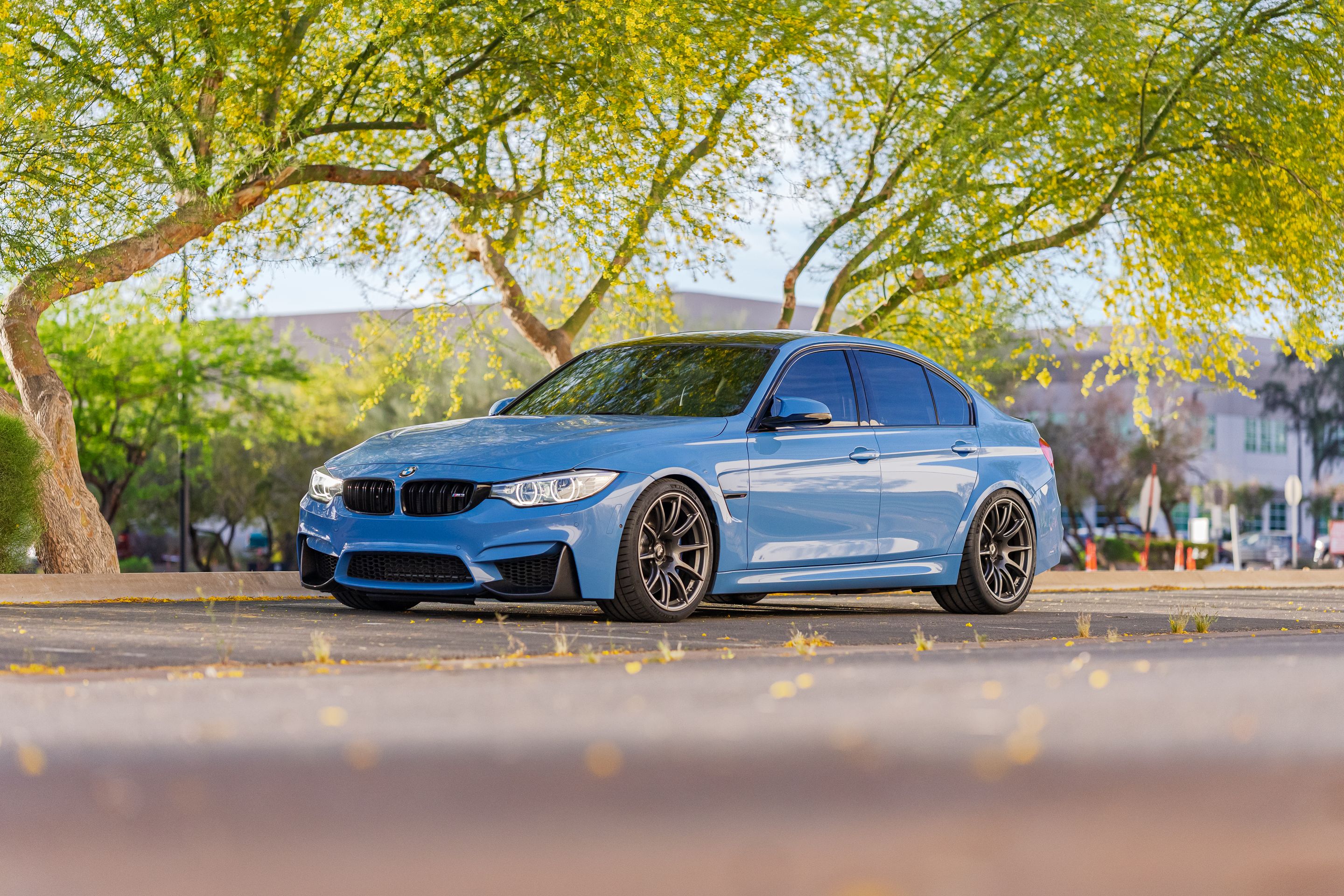 Blue BMW F80 M3 with 19" SM-10 Apex wheels in Anthracite