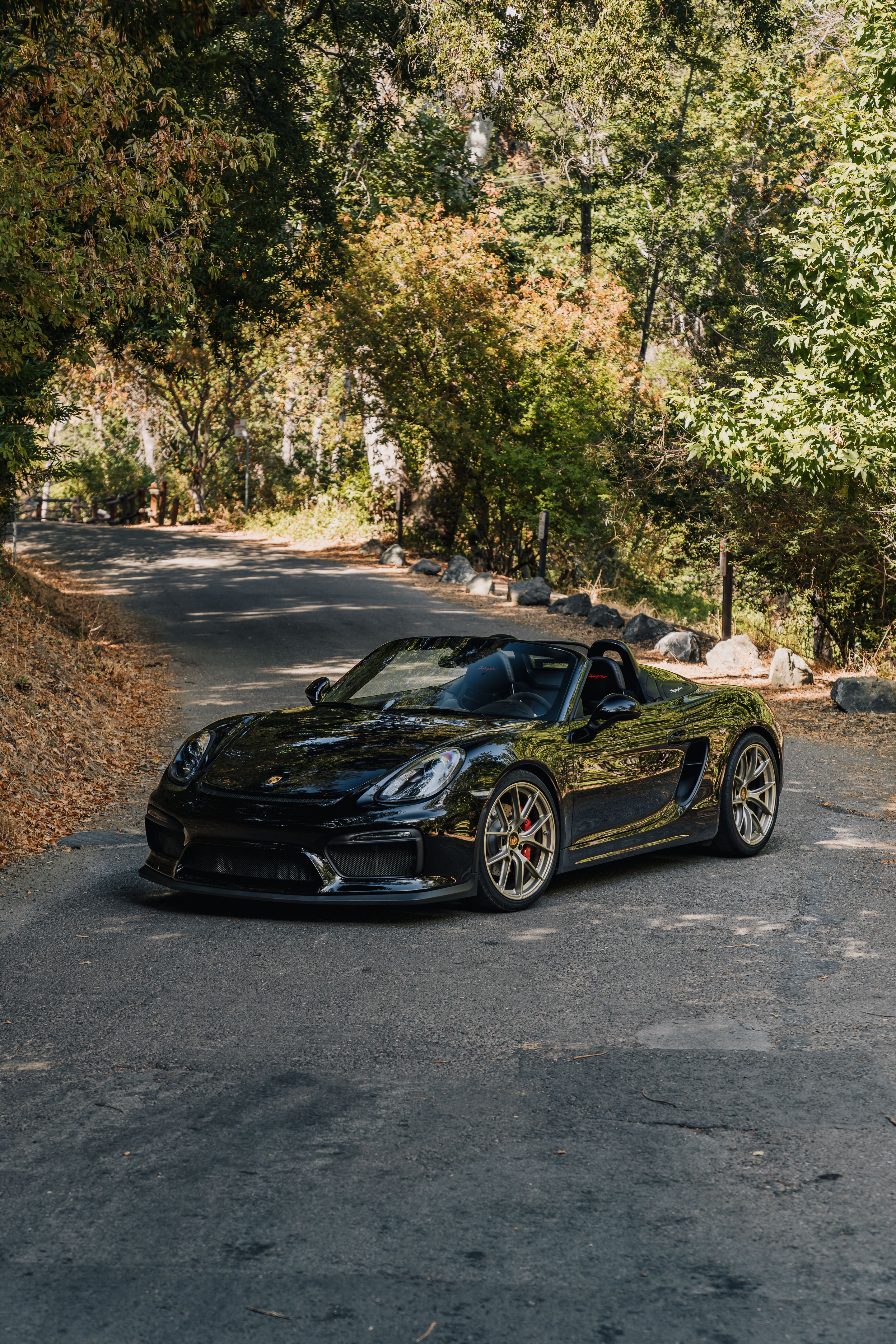 Black Porsche 981 Spyder with 20" VS-5RS Apex wheels in Motorsport Gold