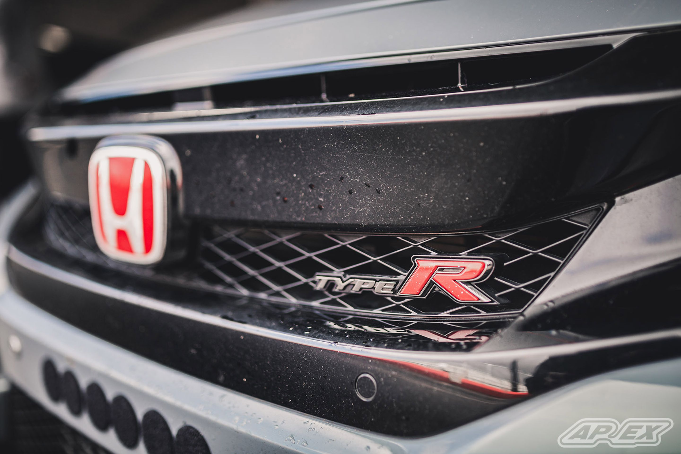 Grey Honda FK8 Civic Type-R with 18" EC-7 Apex wheels in Satin Black