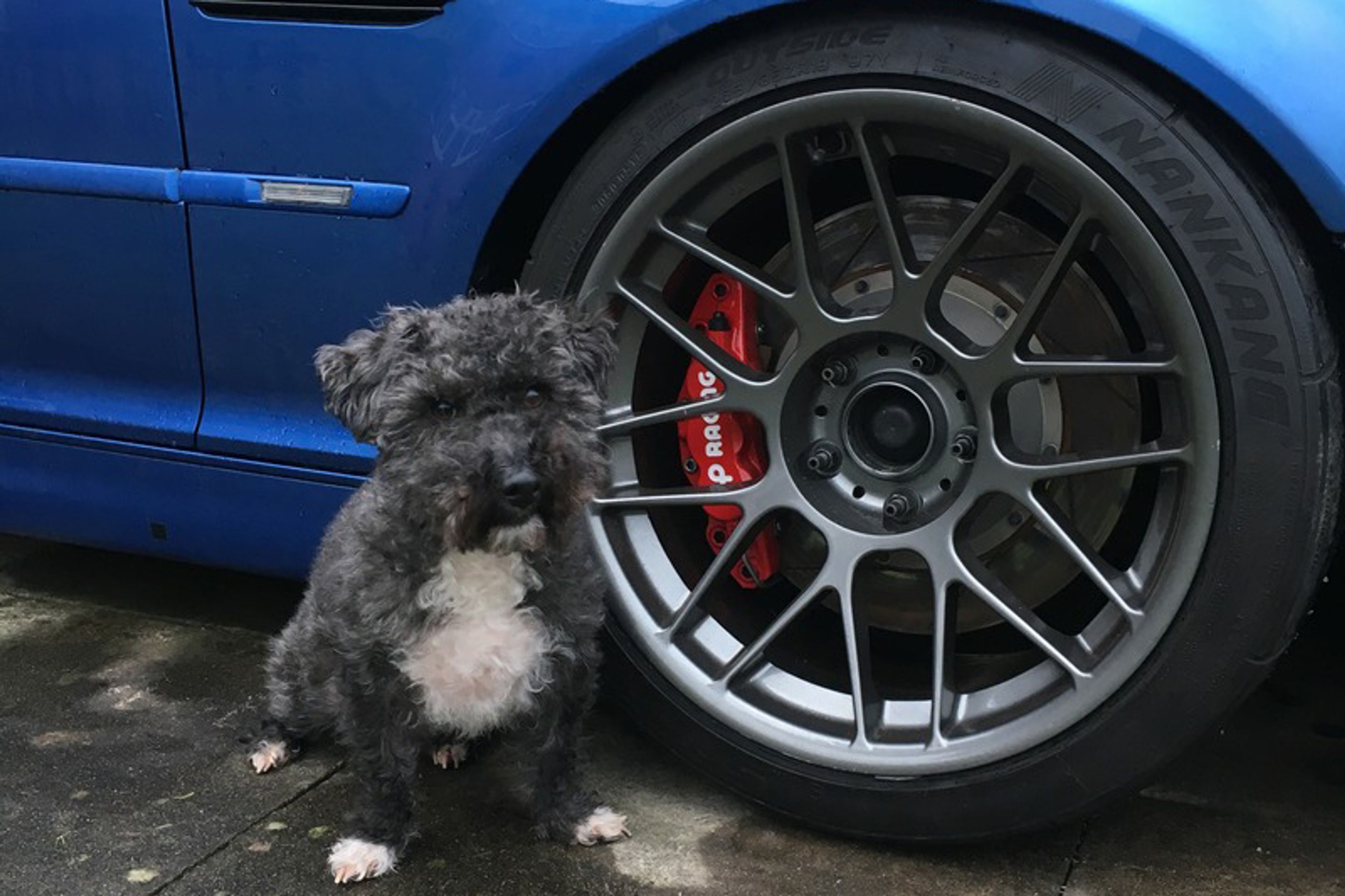 Blue BMW E46 M3 with 18" ARC-8 Apex wheels in Anthracite