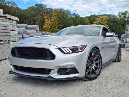 Silver Ford Mustang - SM-10 in Race Silver