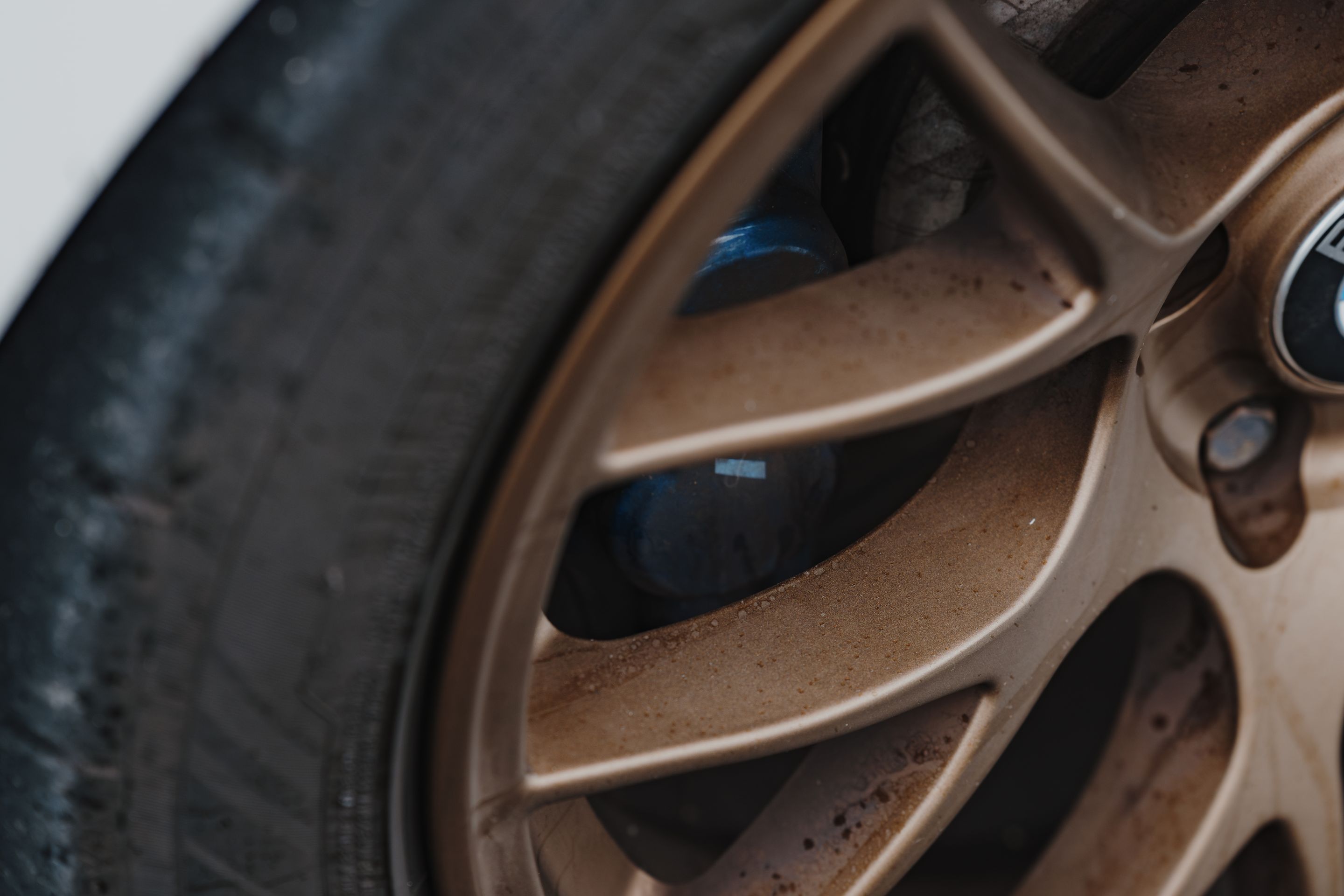 White BMW F31 Wagon 3 Series with 18" EC-7 Apex wheels in Satin Bronze