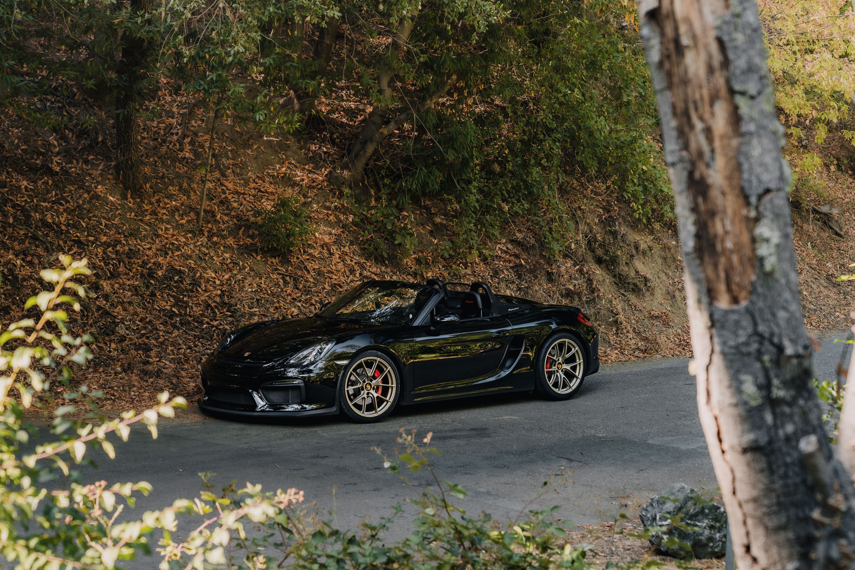 Black Porsche 981 Spyder with 20" VS-5RS Apex wheels in Motorsport Gold