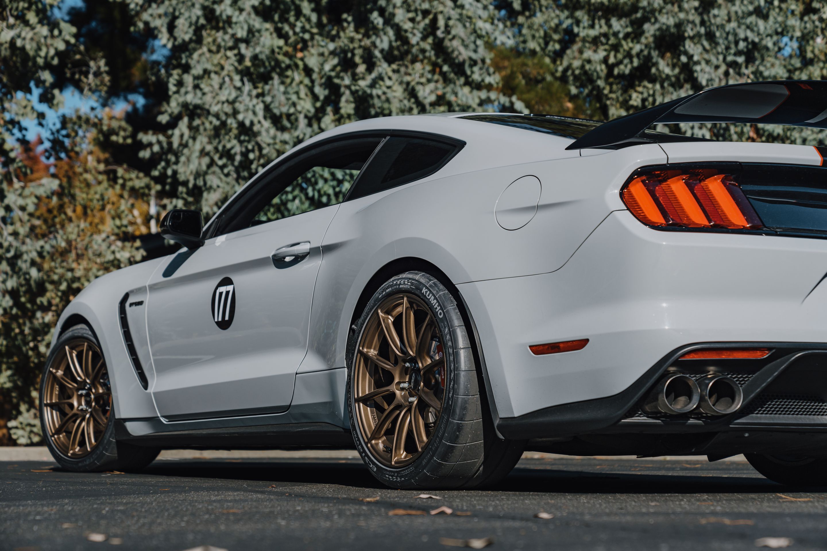Grey Ford S550 Mustang GT350R with 19" SM-10RS Apex wheels in Satin Bronze