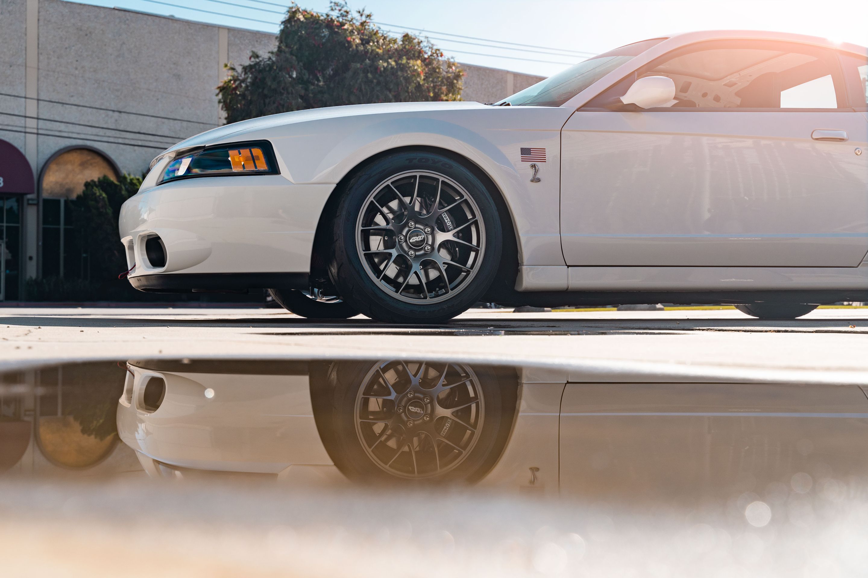 White Ford SN95 Mustang Cobra with 18" EC-7 Apex wheels in Anthracite