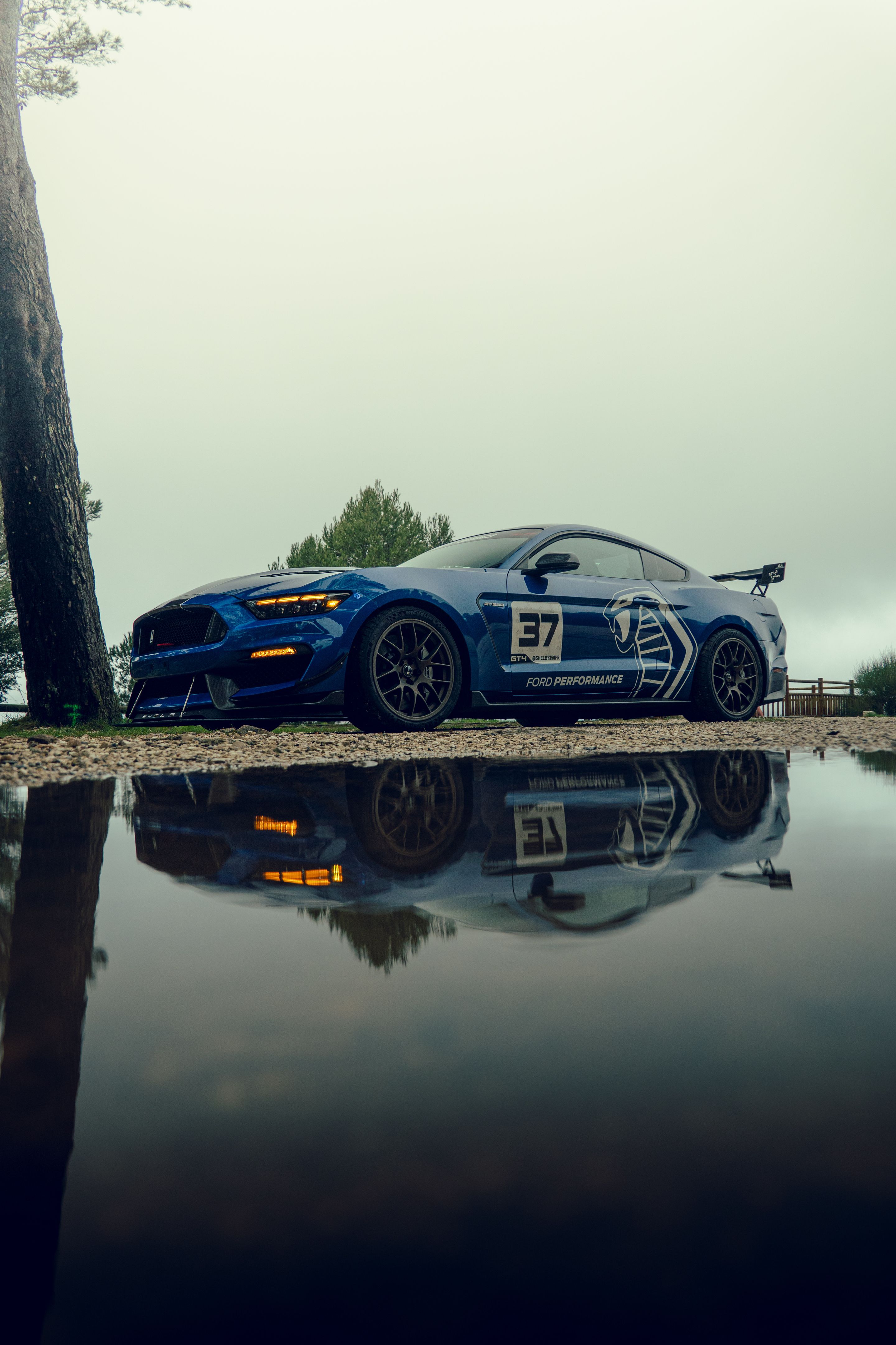 Blue Ford S550 Mustang GT350 with 19" EC-7 Apex wheels in Satin Bronze