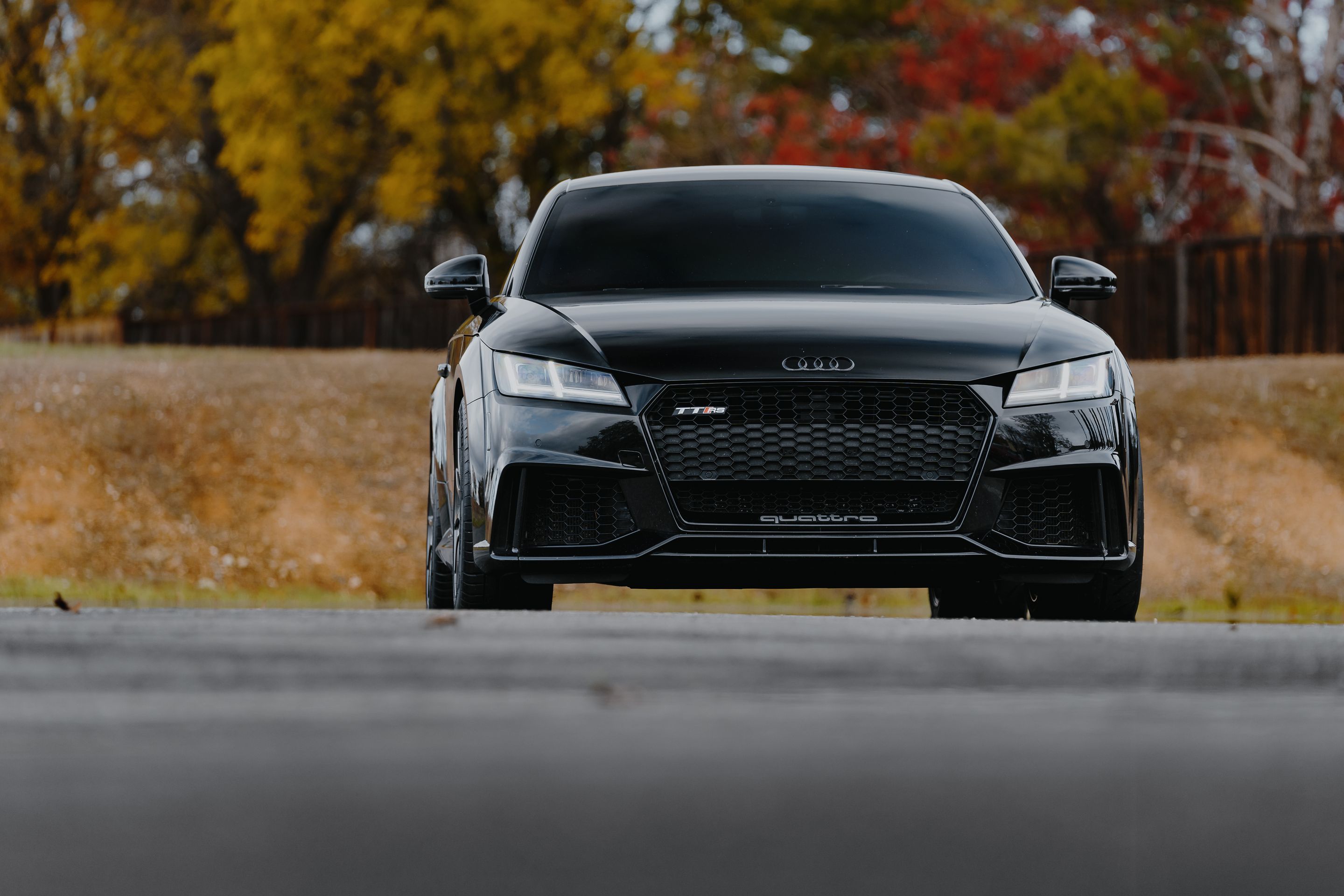 Black Audi FV/8S TT RS with 18" SM-10 Apex wheels in Anthracite