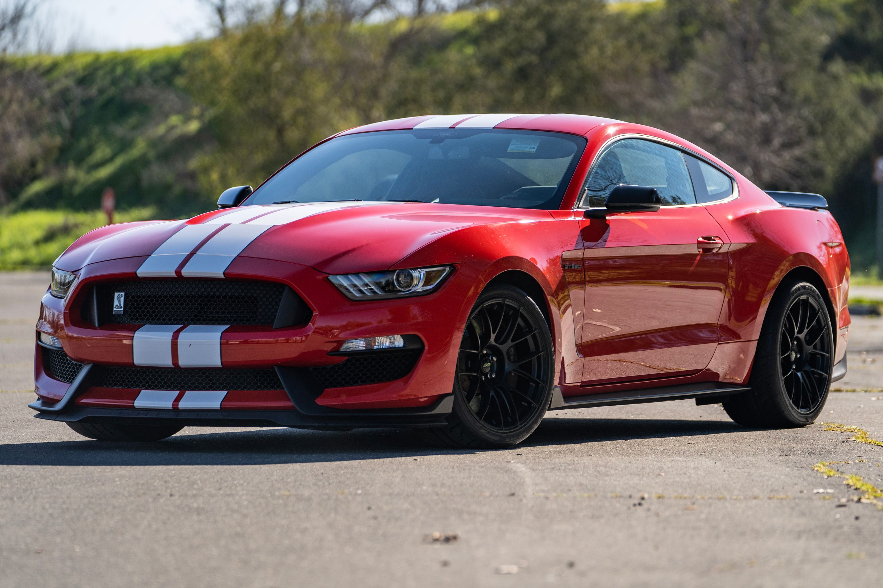 Red Ford S550 Mustang GT350 with 19" EC-7RS Apex wheels in Satin Black
