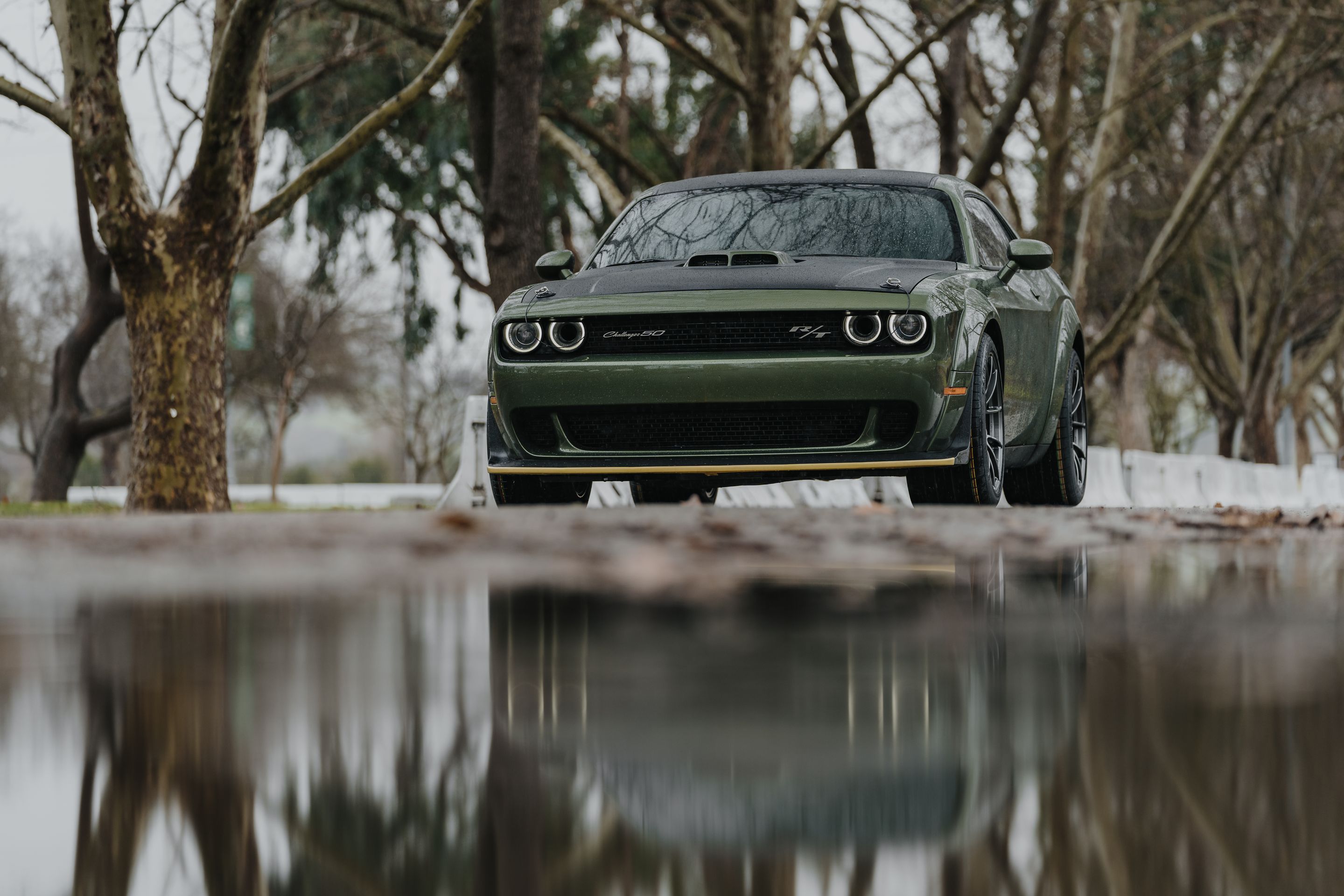 Green Dodge Challenger R/T Scat Pack Widebody with 20" VS-5RS Apex wheels in Anthracite
