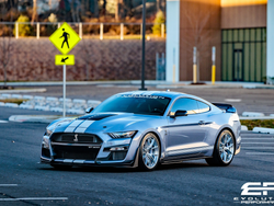 Grey Ford Mustang - VS-5RS in Brushed Clear