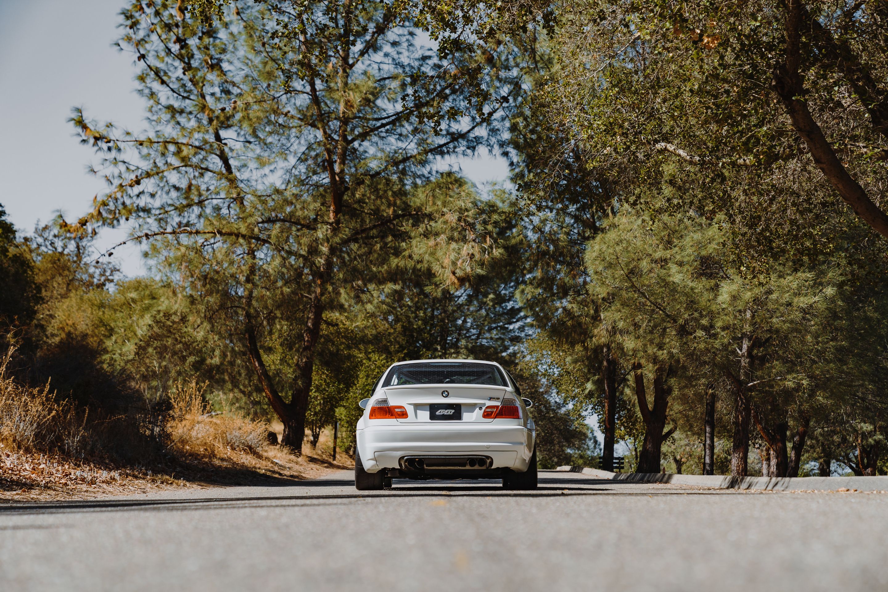 White BMW E46 M3 with 18" SM-10RS Apex wheels in Anthracite