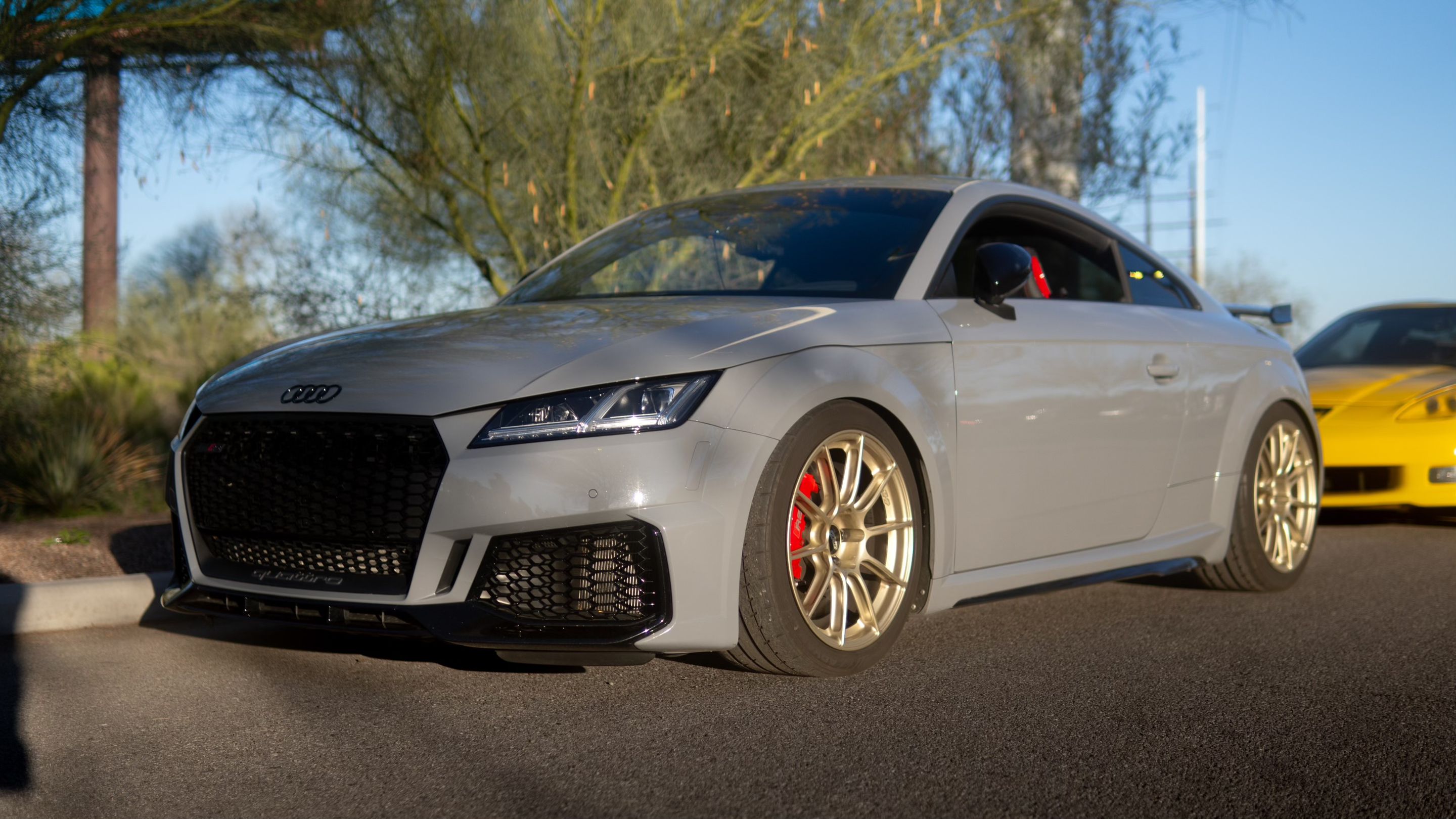 Grey Audi FV/8S TT RS with 18" SM-10RS Apex wheels in Motorsport Gold
