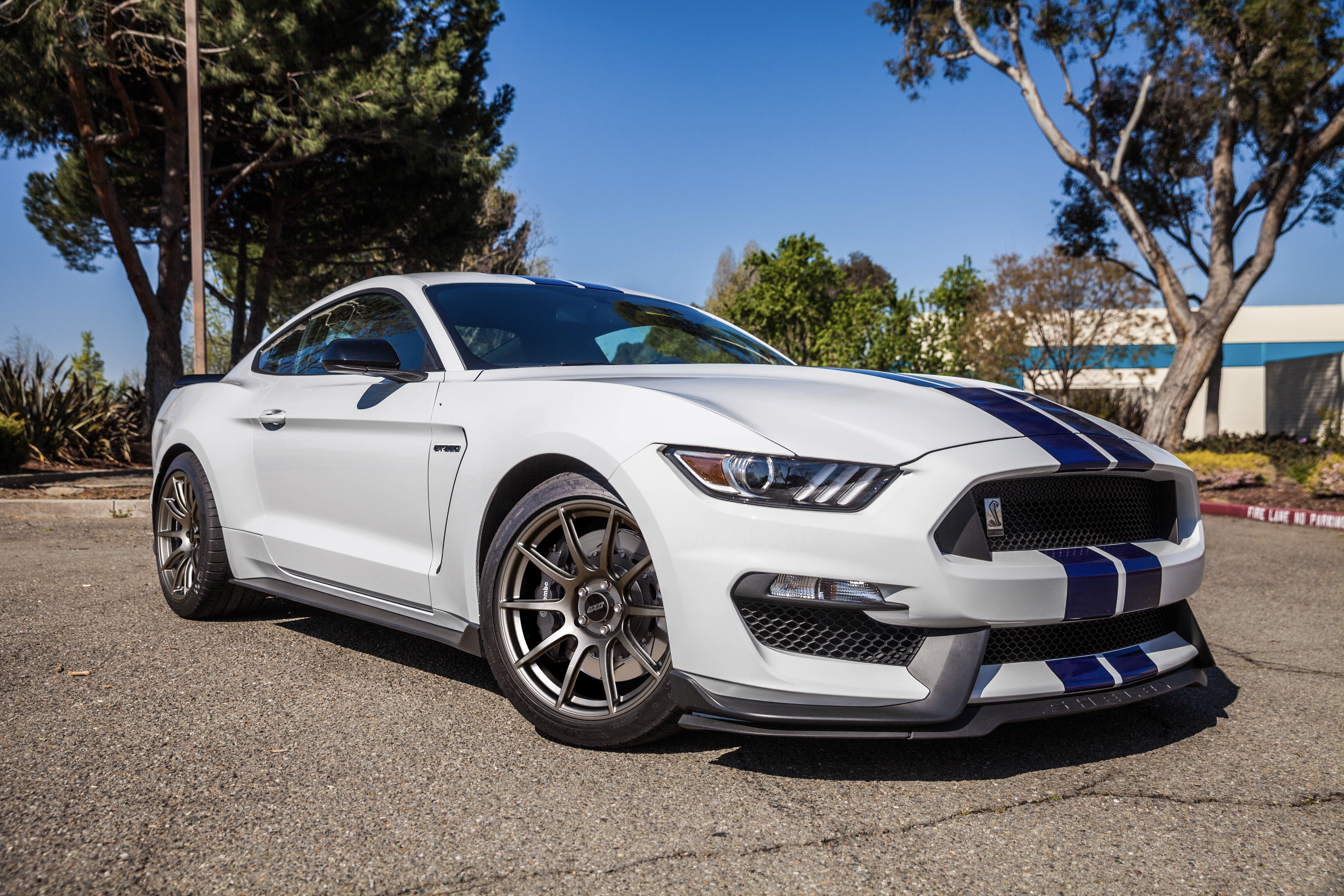 White Ford S550 Mustang GT350 with 19" SM-10 Apex wheels in Anthracite