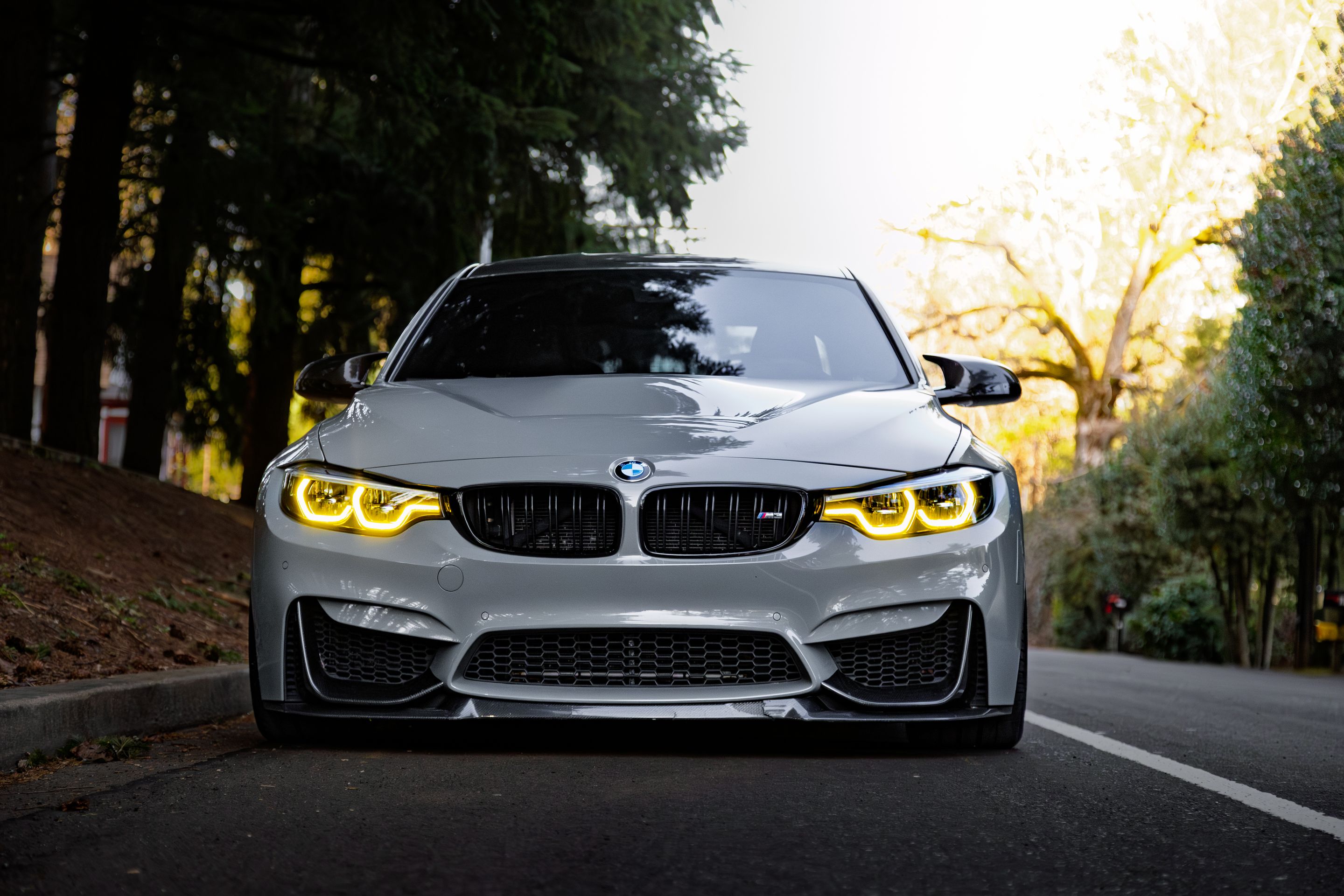 Grey BMW F80 M3 with 19" VS-5RS Apex wheels in Satin Black