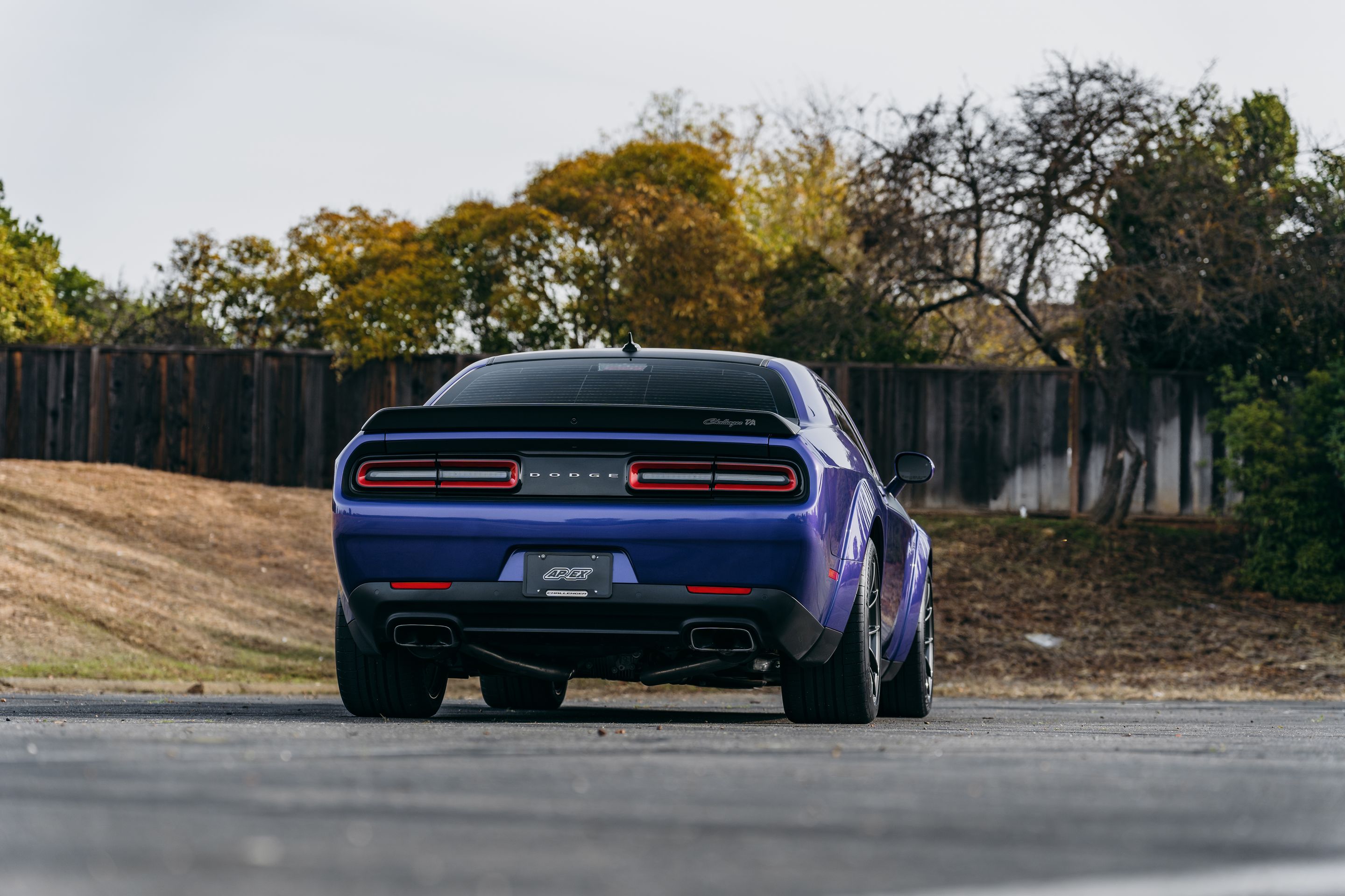 Purple Dodge Challenger R/T Scat Pack Widebody with 20" VS-5RS Apex wheels in Anthracite