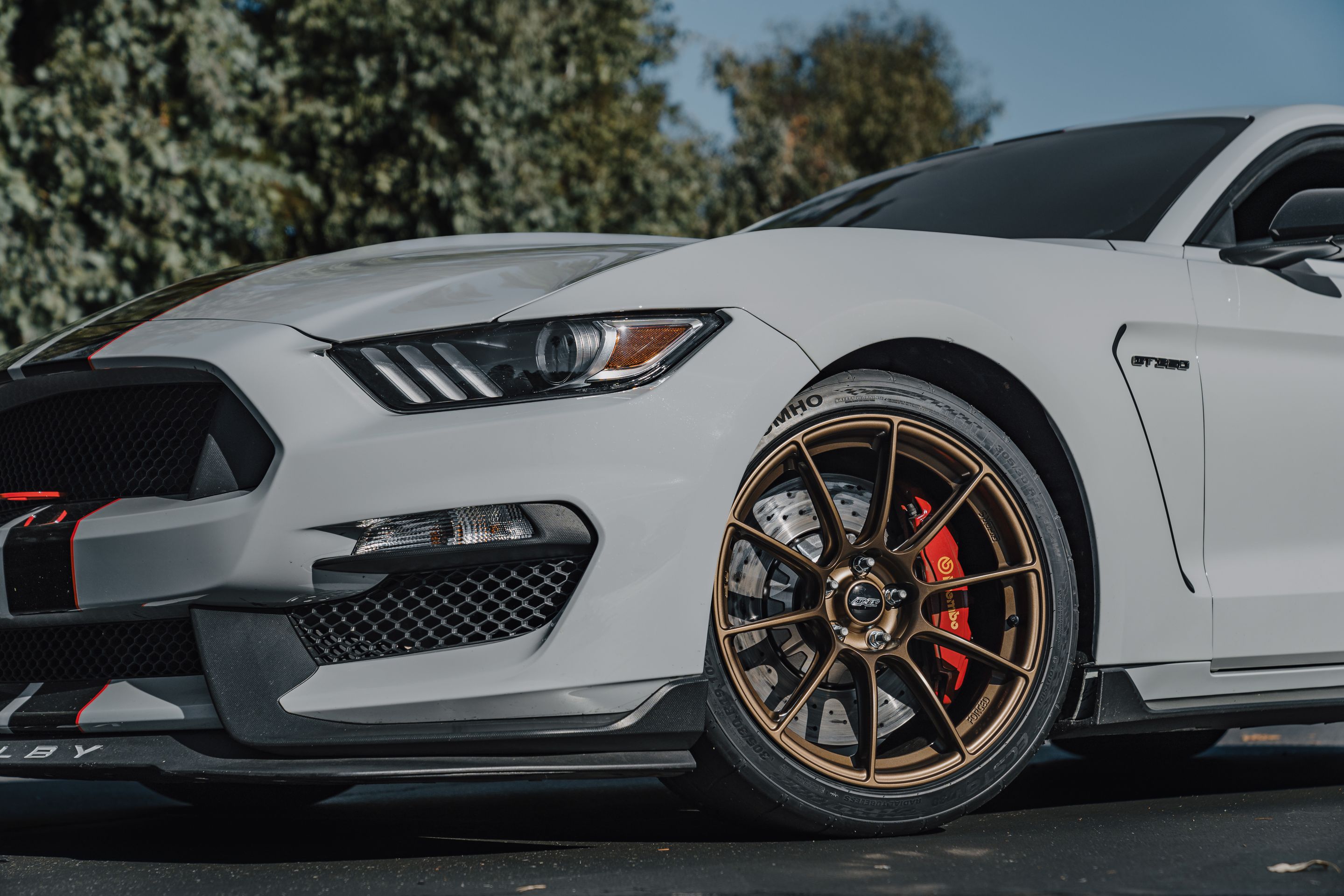 Grey Ford S550 Mustang GT350R with 19" SM-10RS Apex wheels in Satin Bronze