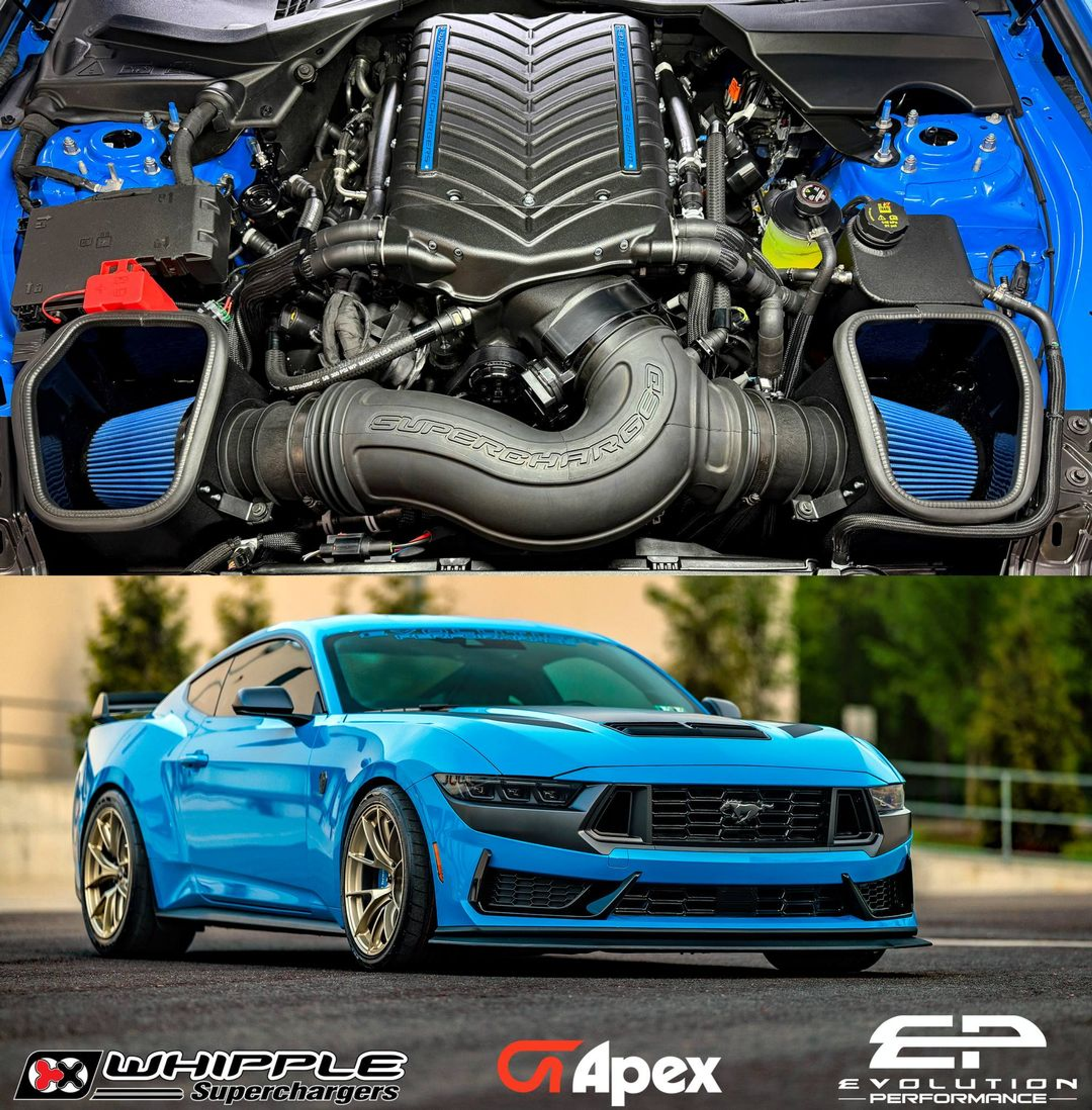 Blue Ford S650 Mustang Dark Horse with 19" VS-5RS Apex wheels in Motorsport Gold