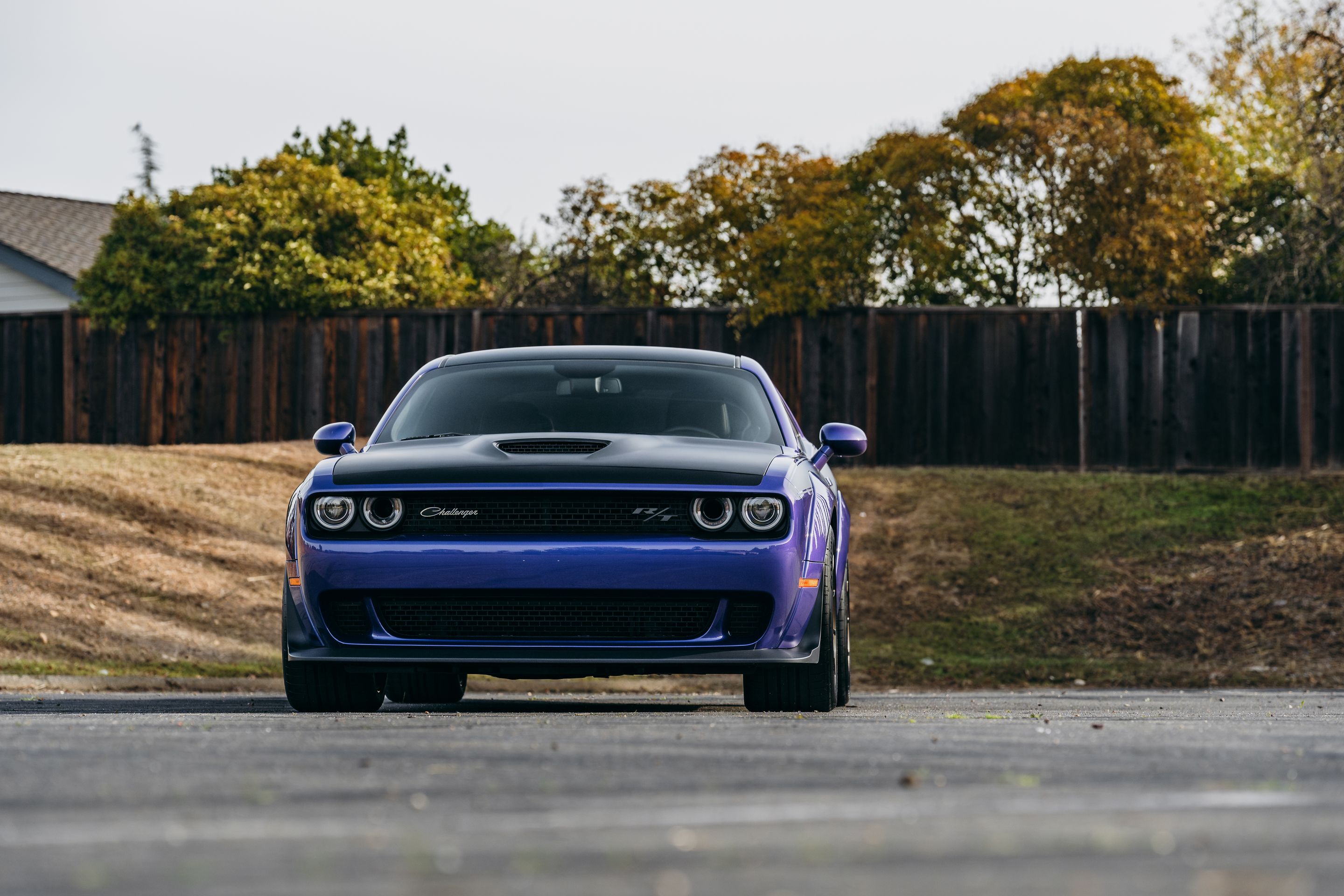 Purple Dodge Challenger R/T Scat Pack Widebody with 20" VS-5RS Apex wheels in Satin Bronze